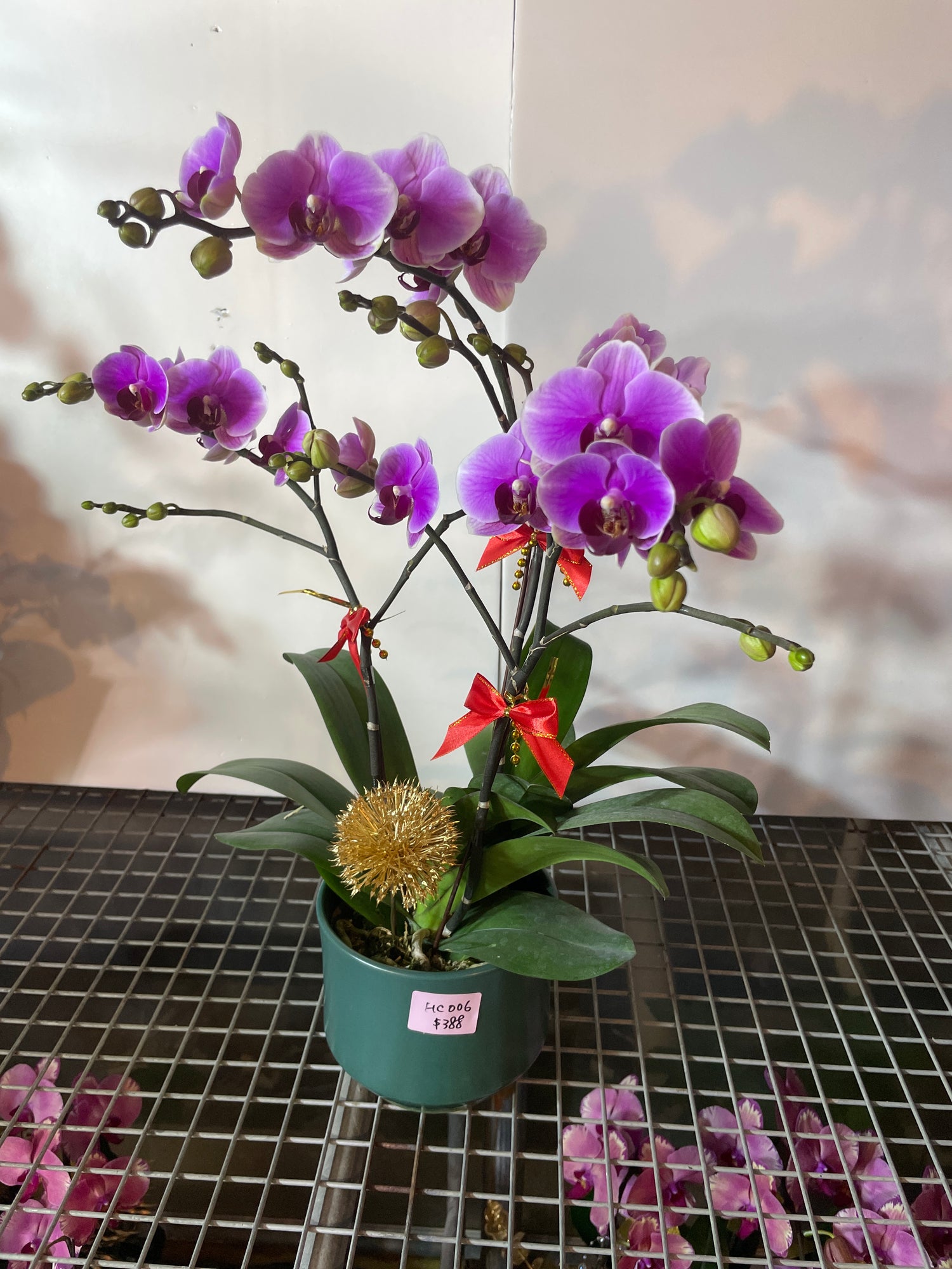 馬年賀年花【HC006】