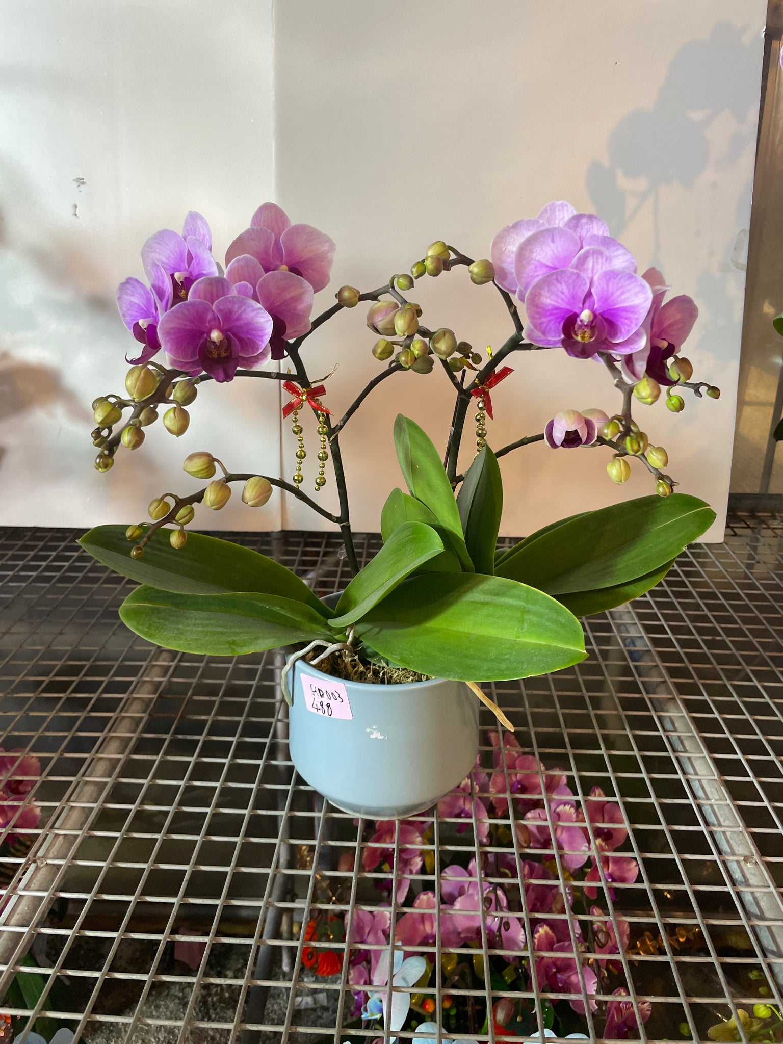 馬年賀年花【HD003】