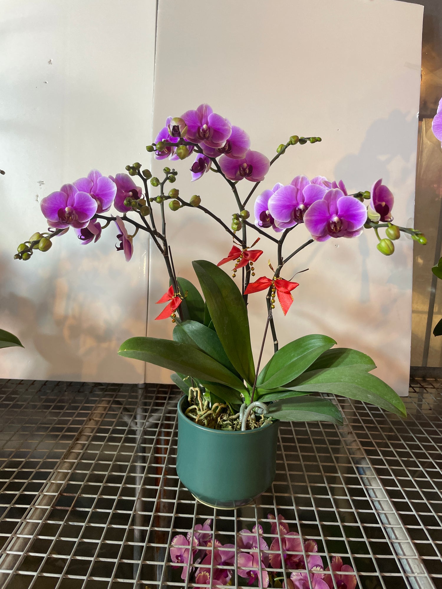 馬年賀年花【HD004】