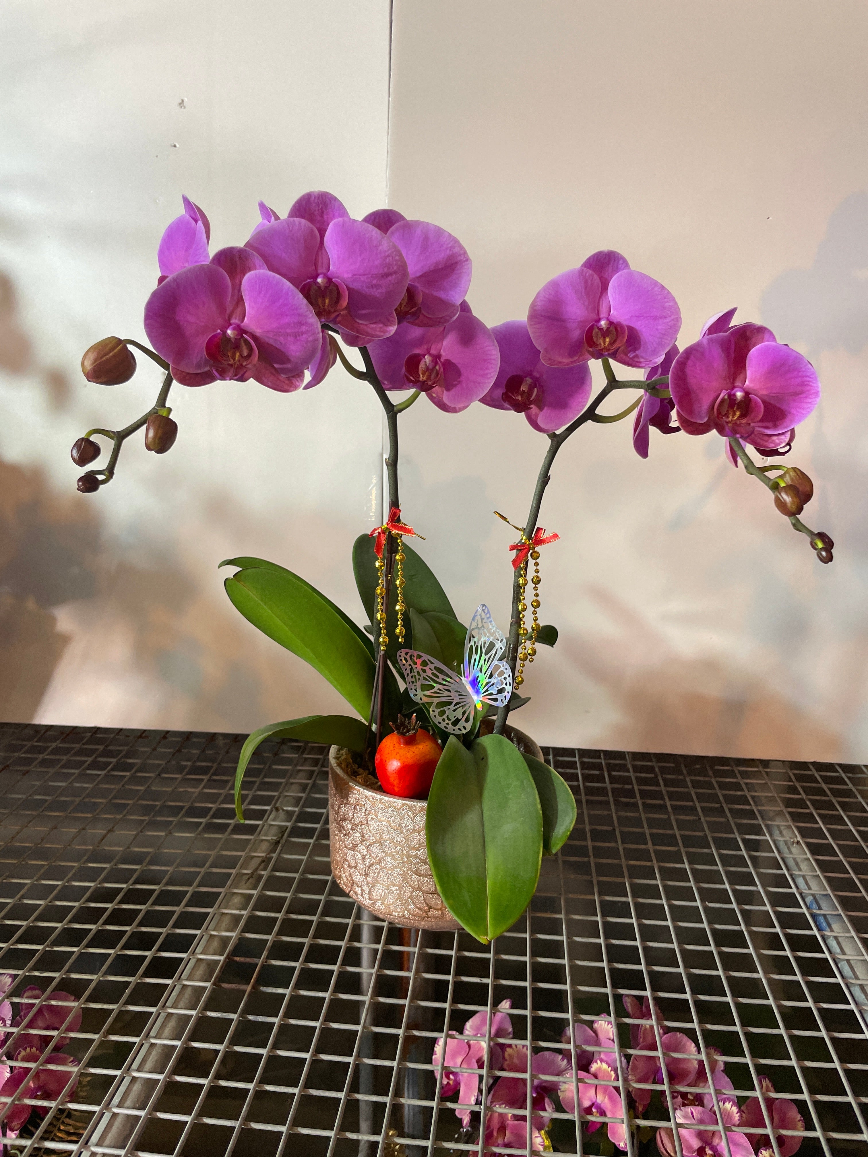 馬年賀年花【HD006】