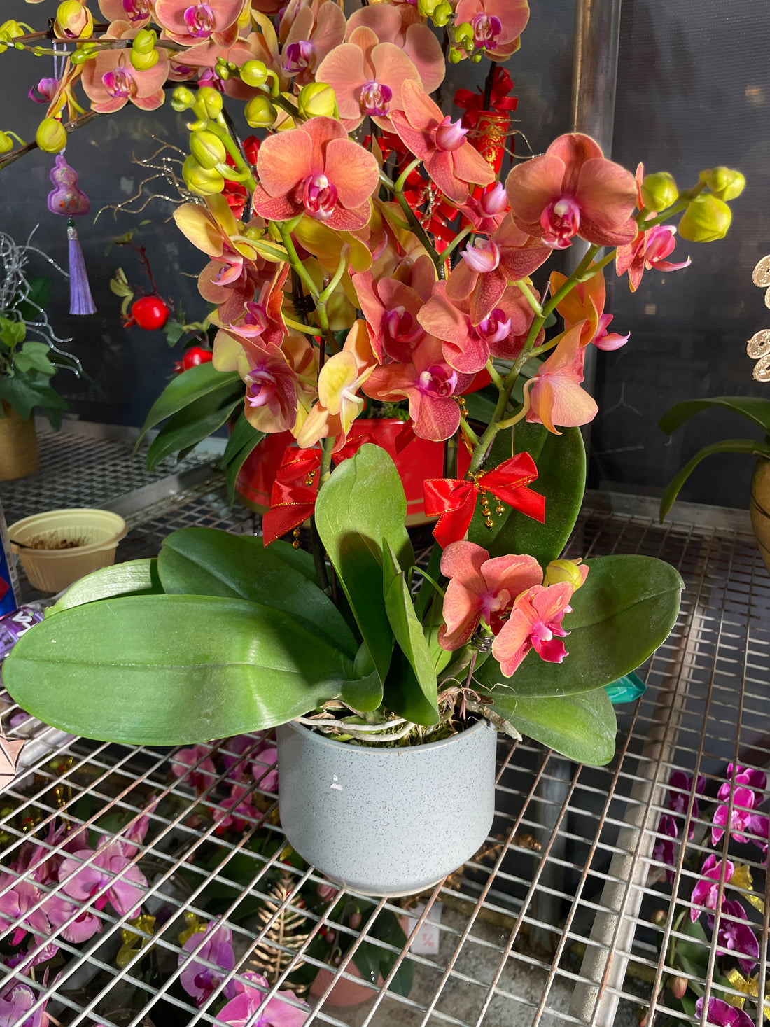 馬年賀年花【HD008】