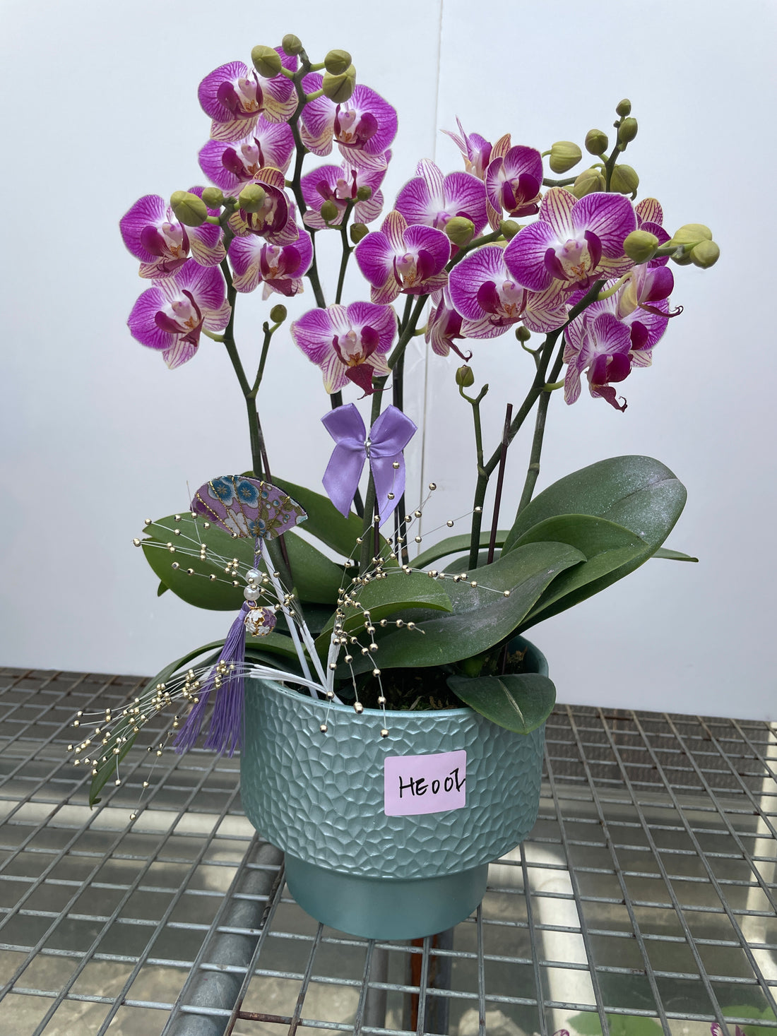 馬年賀年花【HE002】