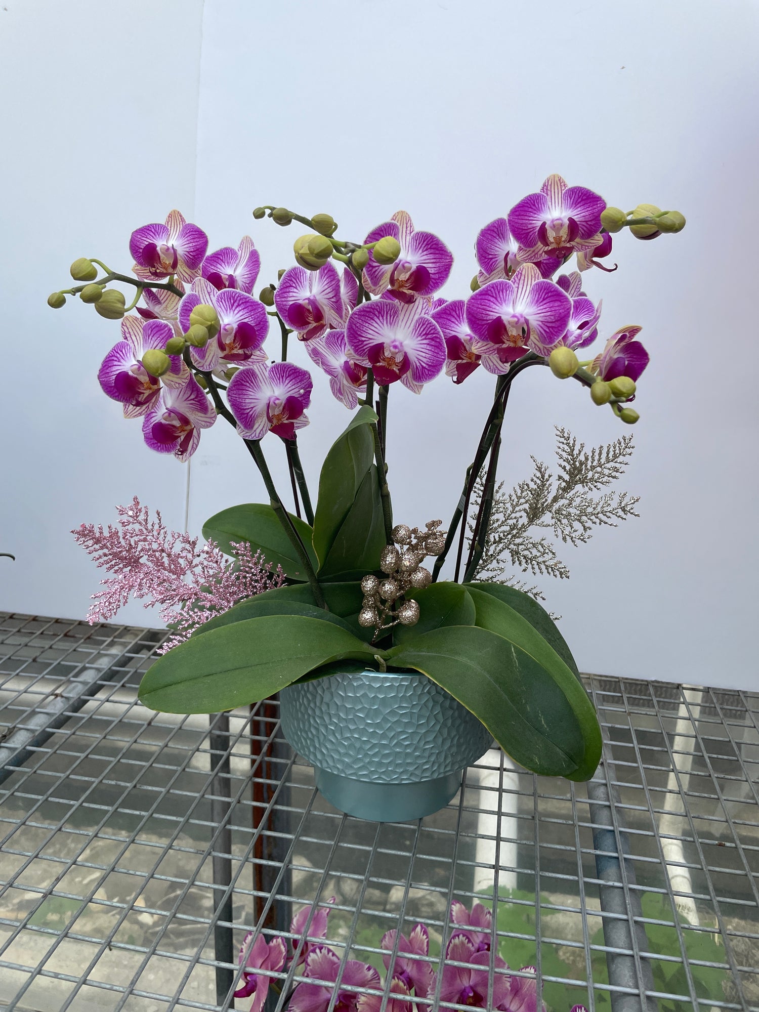 馬年賀年花【HE004】