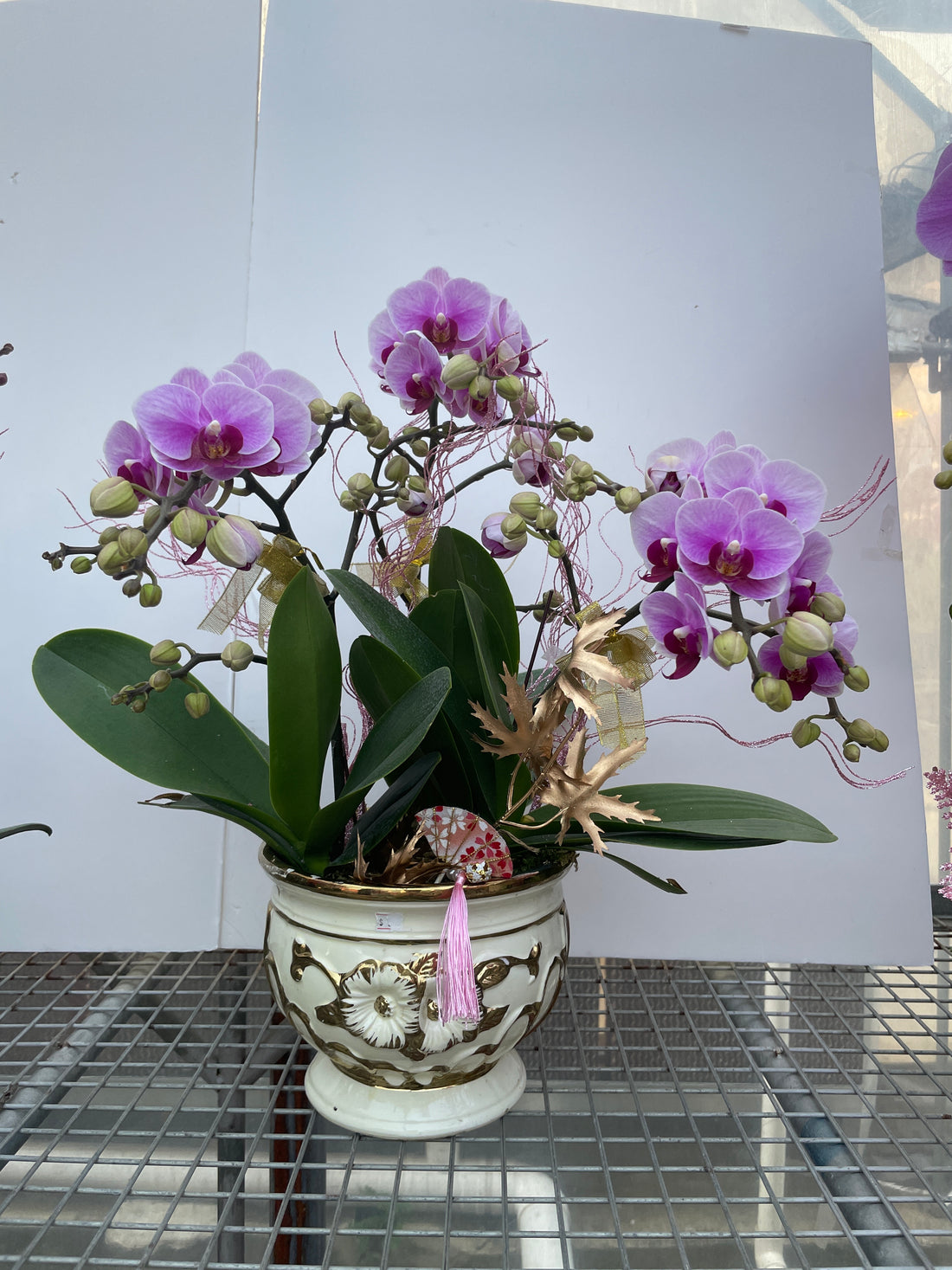 馬年賀年花【HE005】