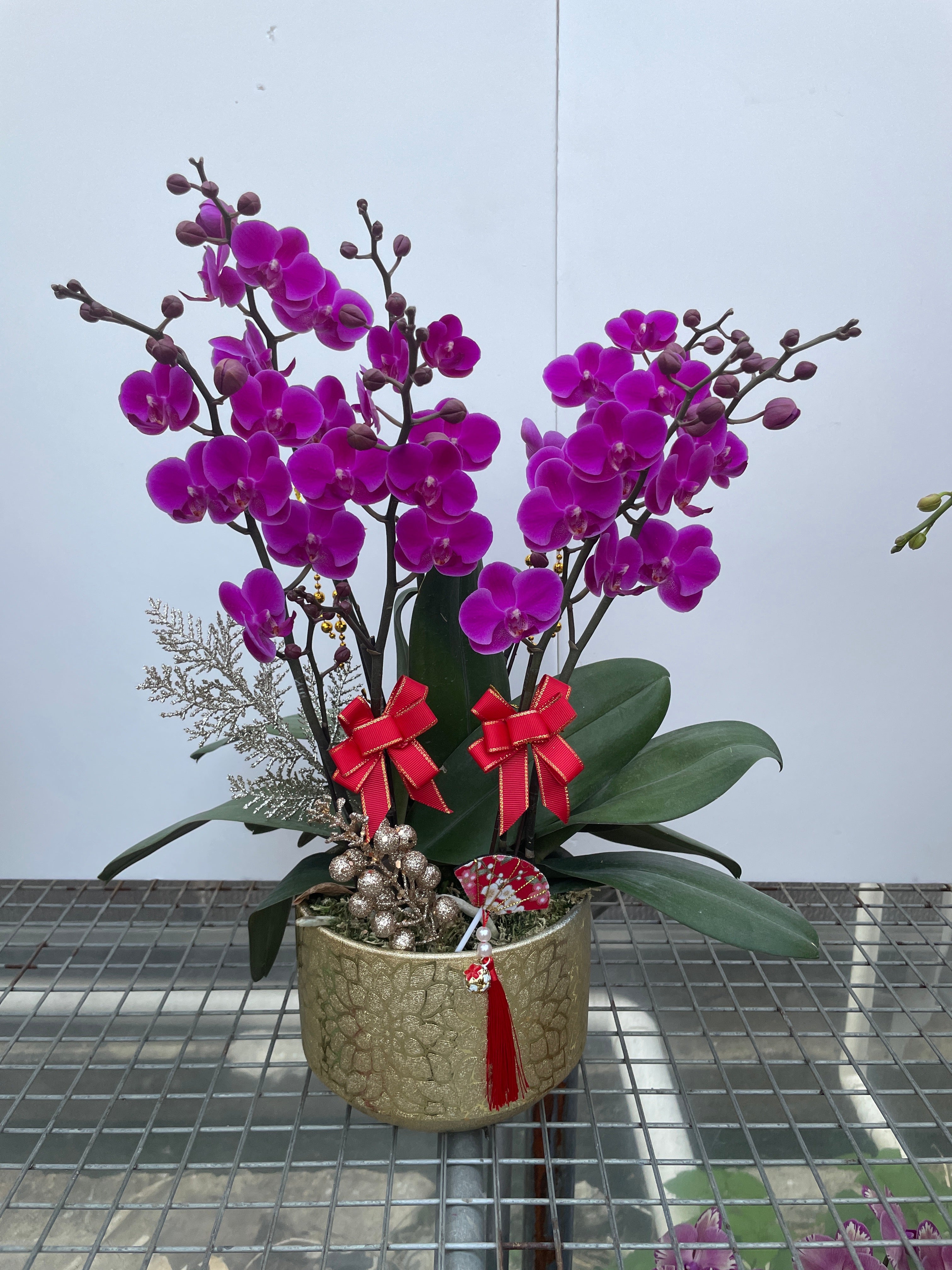 馬年賀年花【HE007】