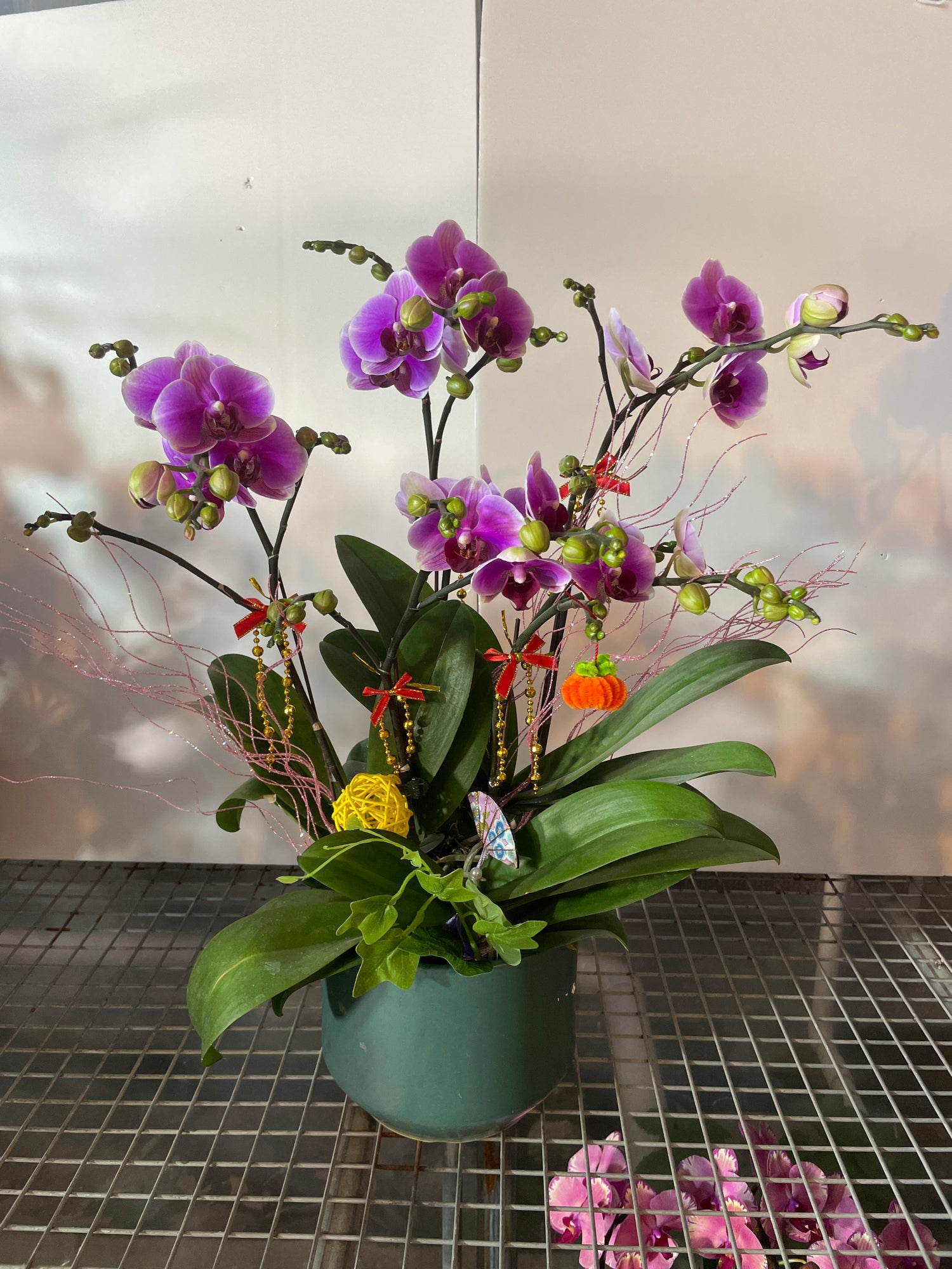 馬年賀年花【HE010】