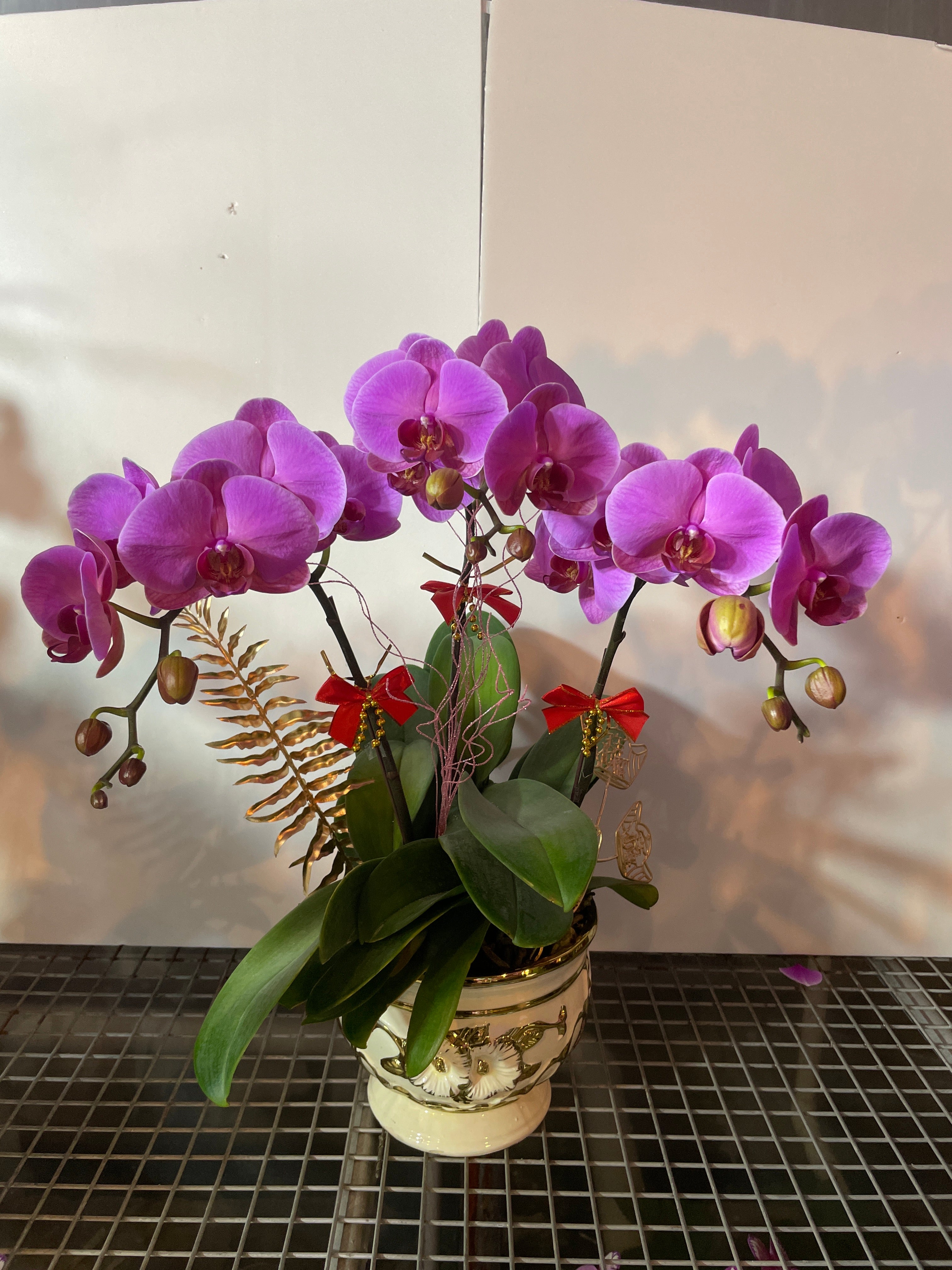 馬年賀年花【HE014】