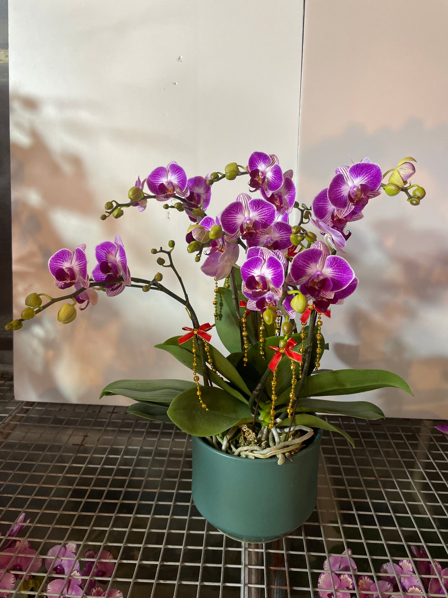 馬年賀年花【HE015】