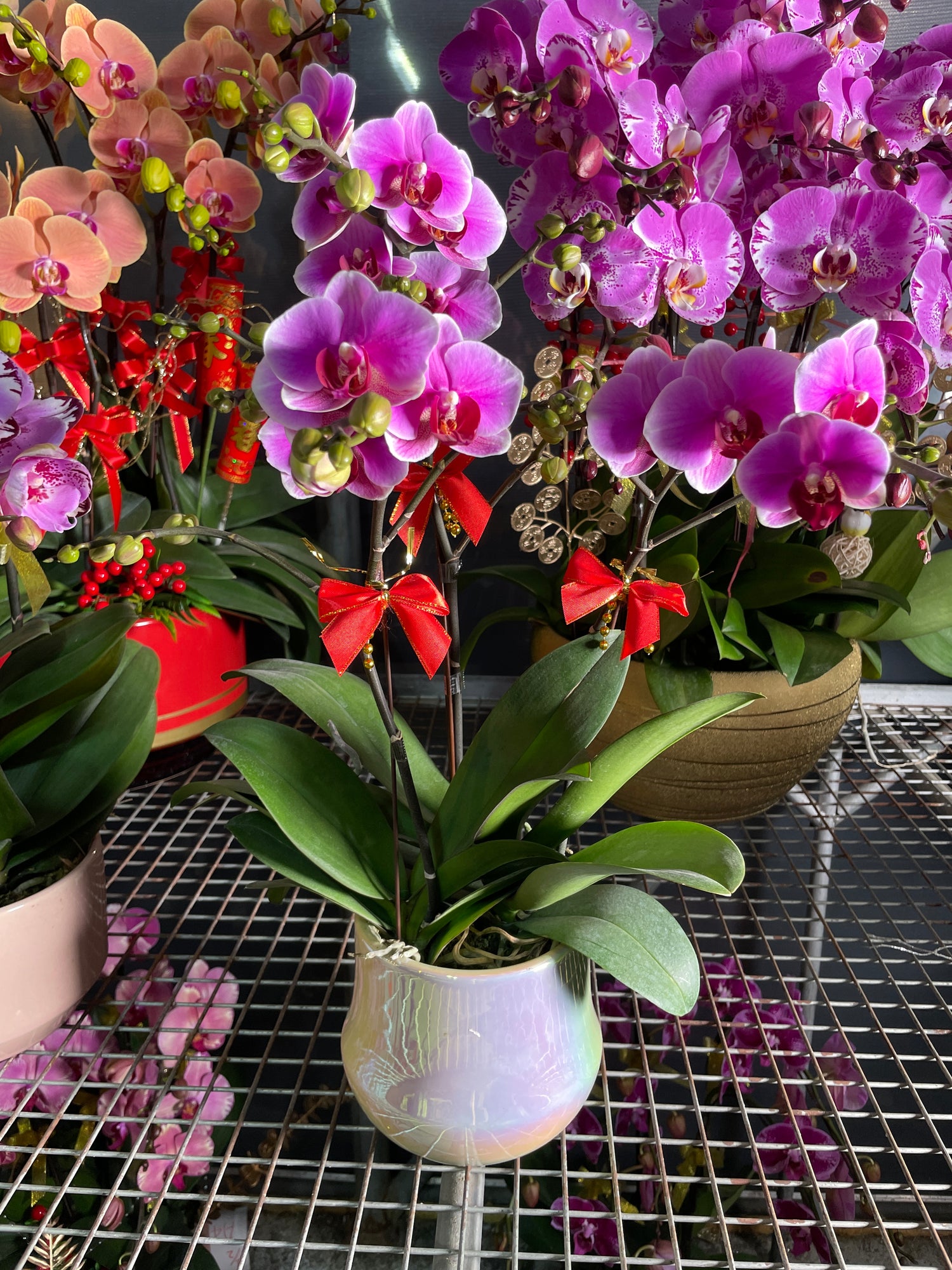 馬年賀年花【HE022】