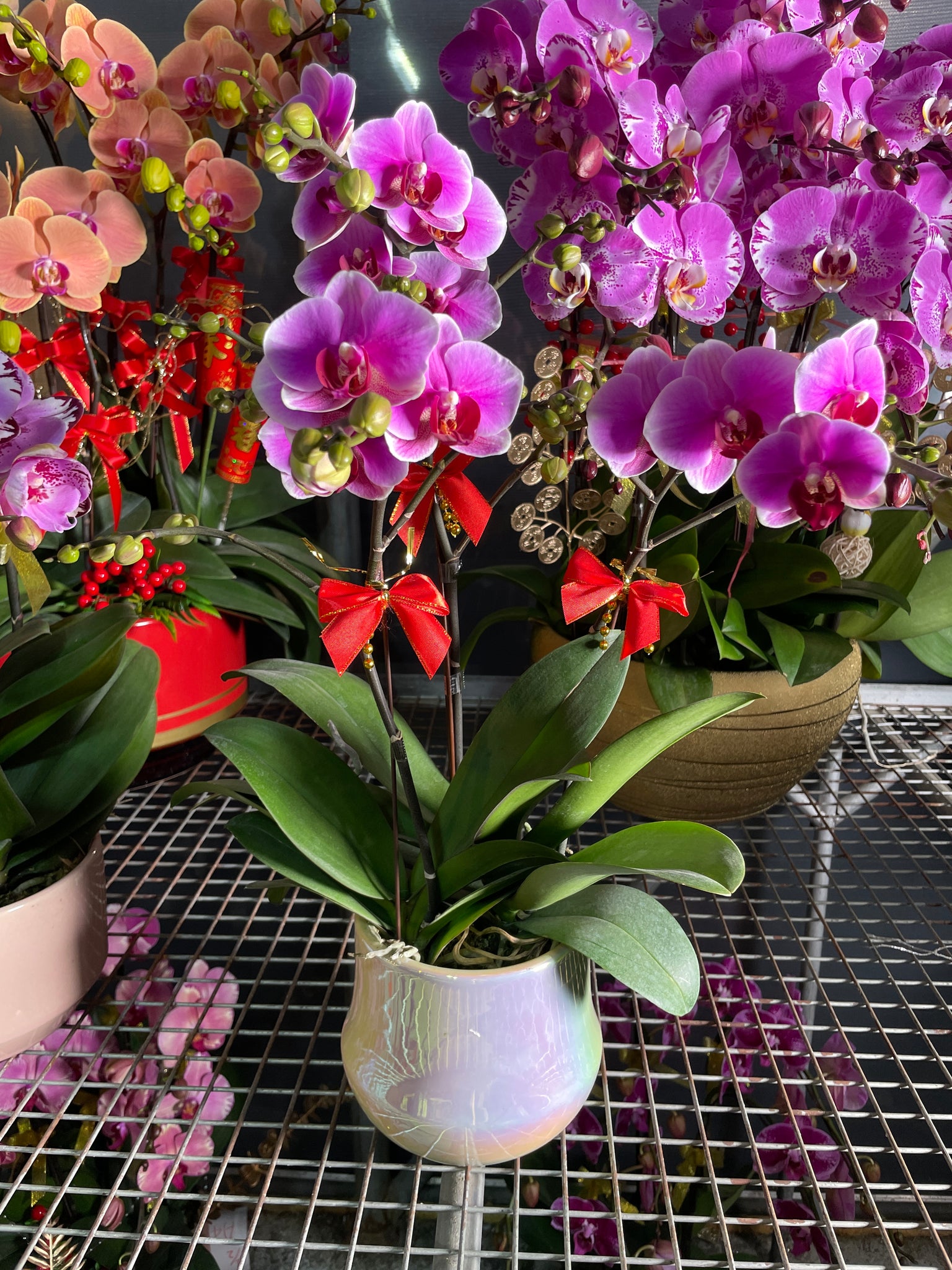 馬年賀年花【HE022】