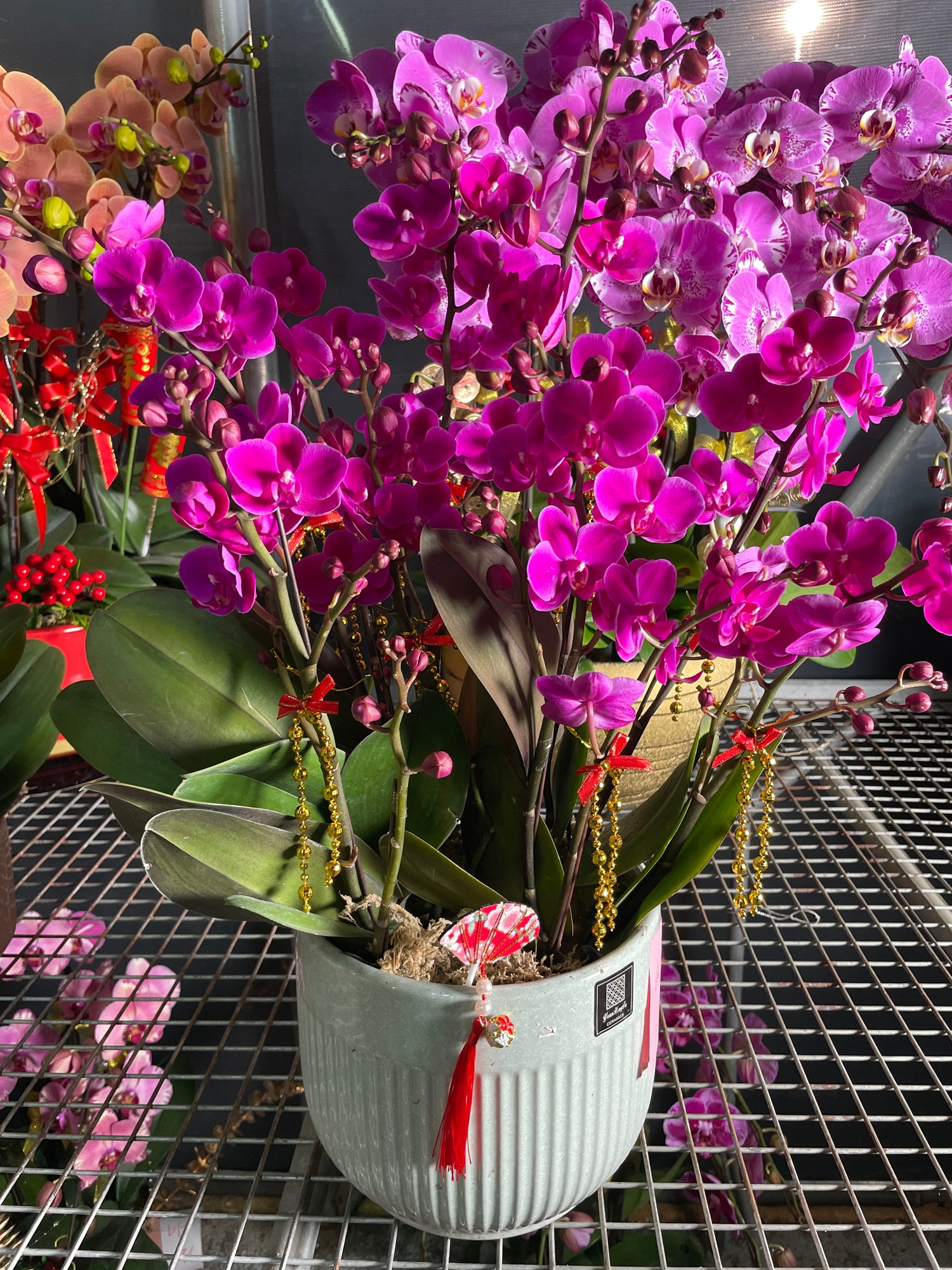 馬年賀年花【HE023】