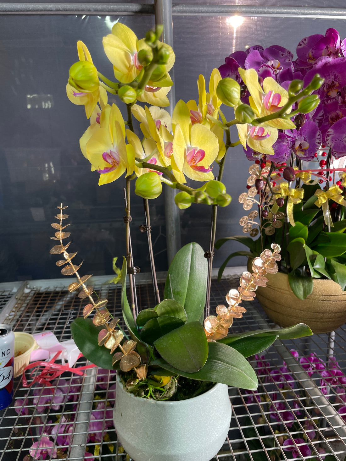 馬年賀年花【HE024】