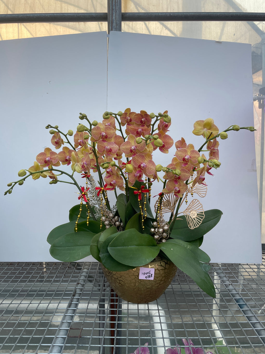 馬年賀年花【HF001】