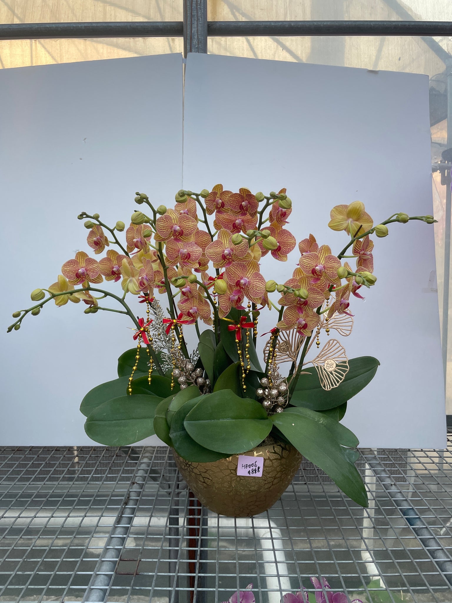 馬年賀年花【HF001】