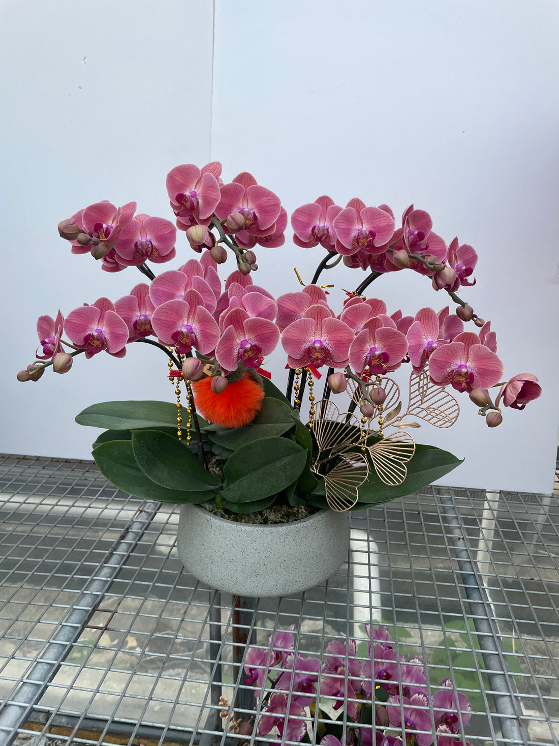 馬年賀年花【HF002】