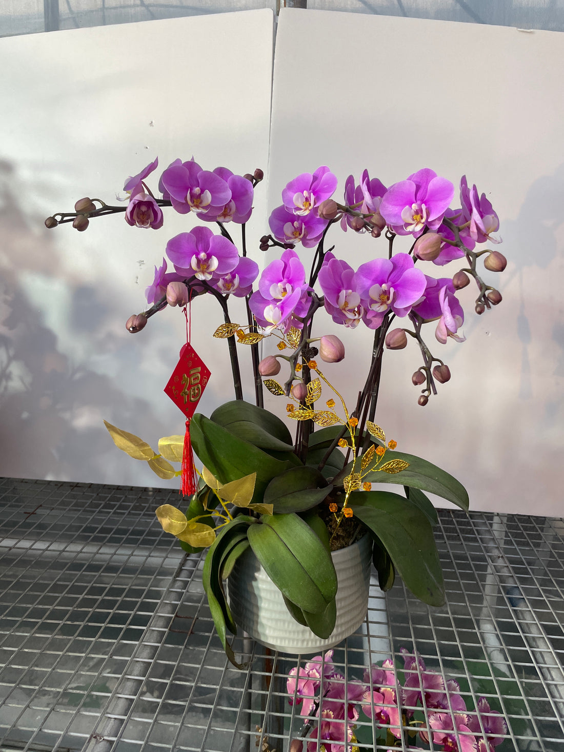 馬年賀年花【HF004】