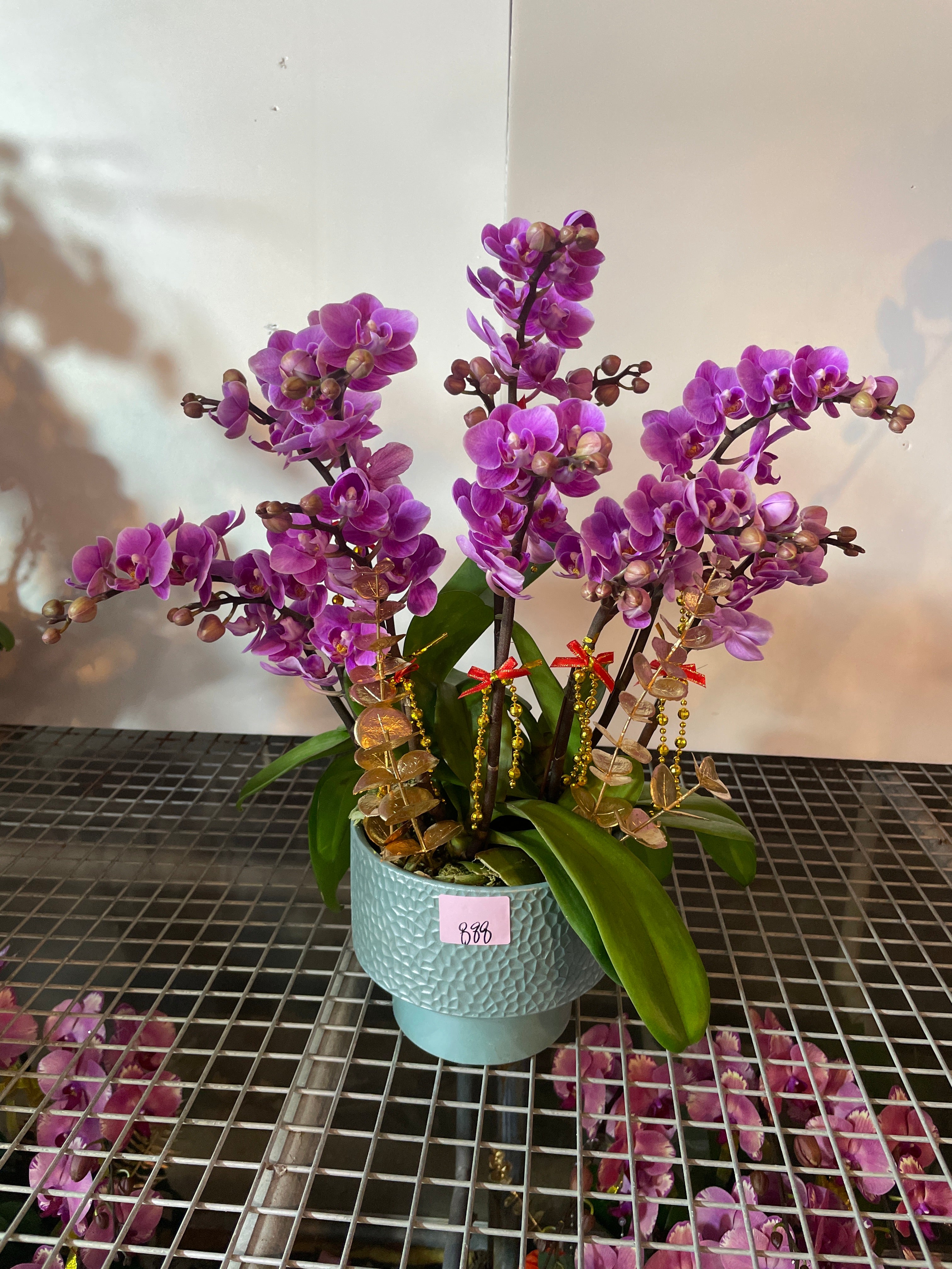 馬年賀年花【HF006】