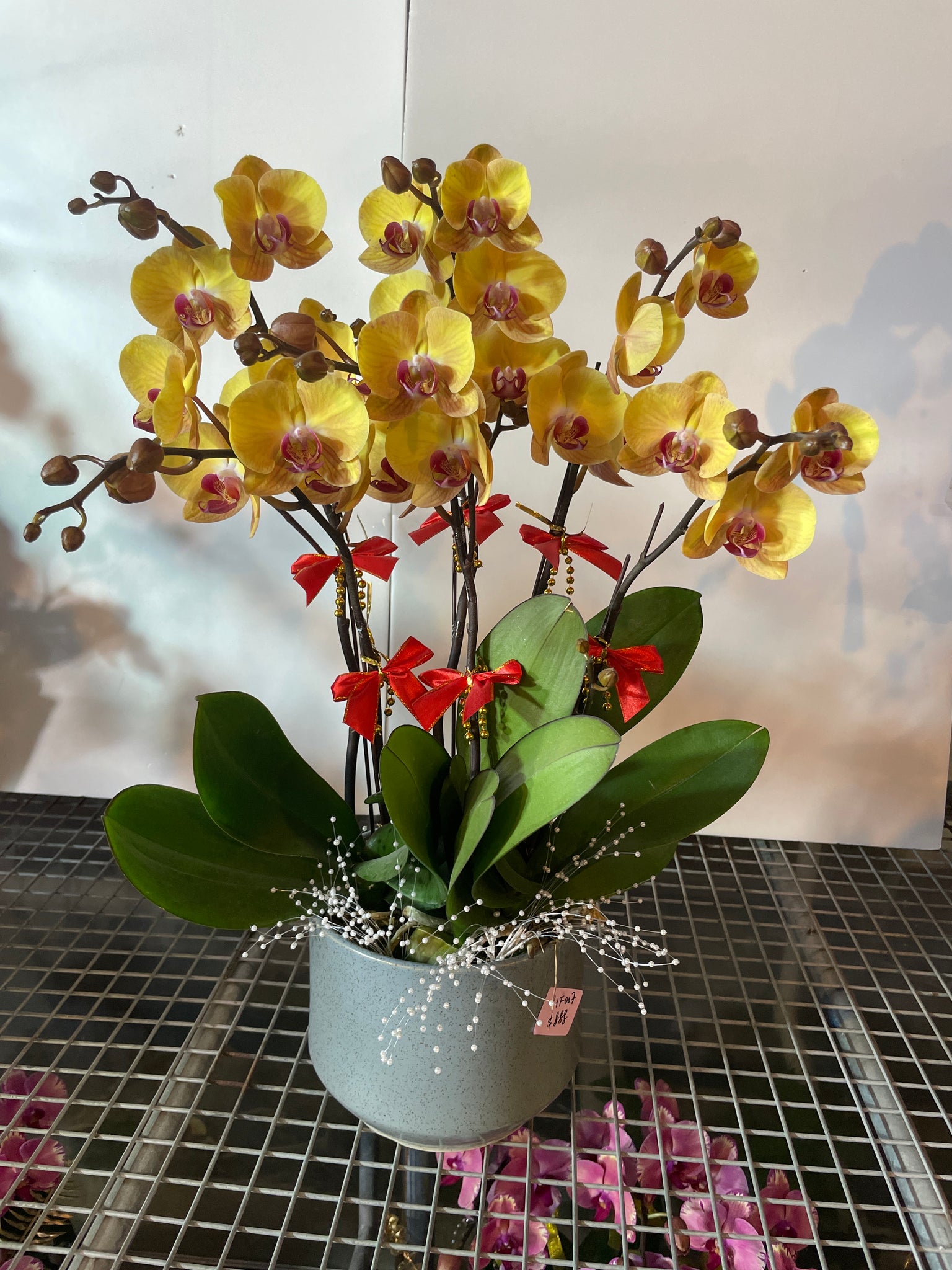 馬年賀年花【HF007】