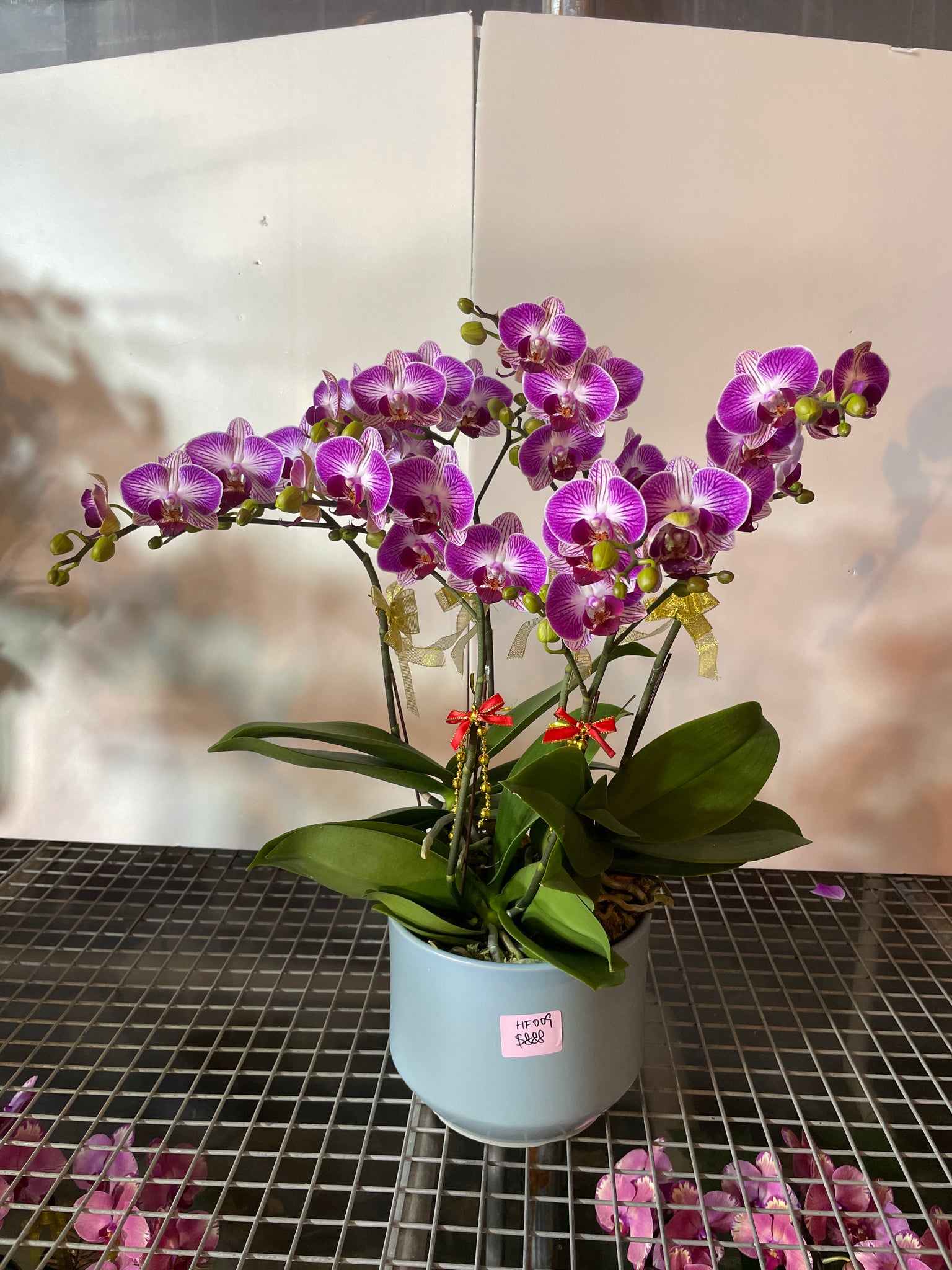 馬年賀年花【HF009】