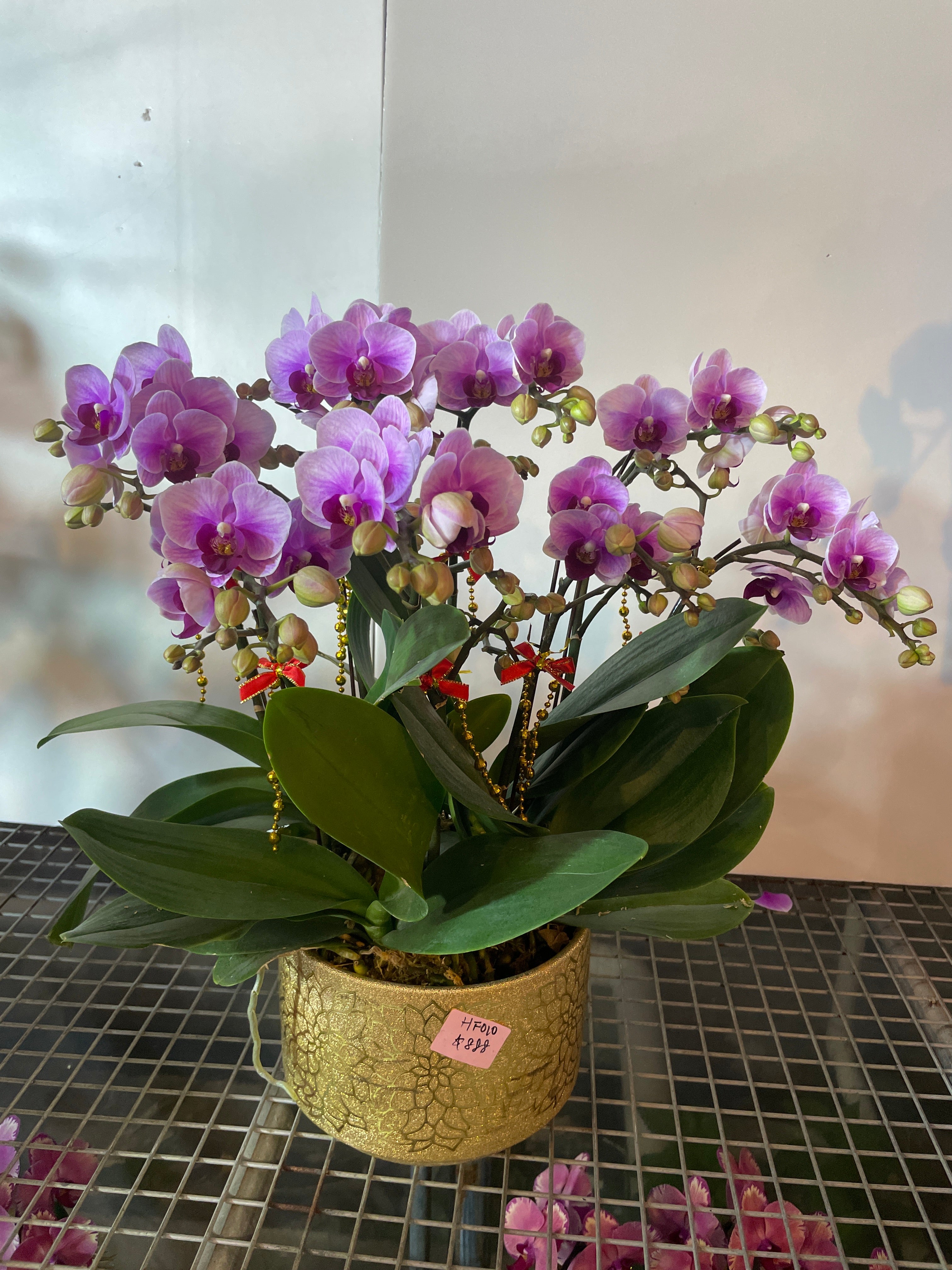 馬年賀年花【HF010】