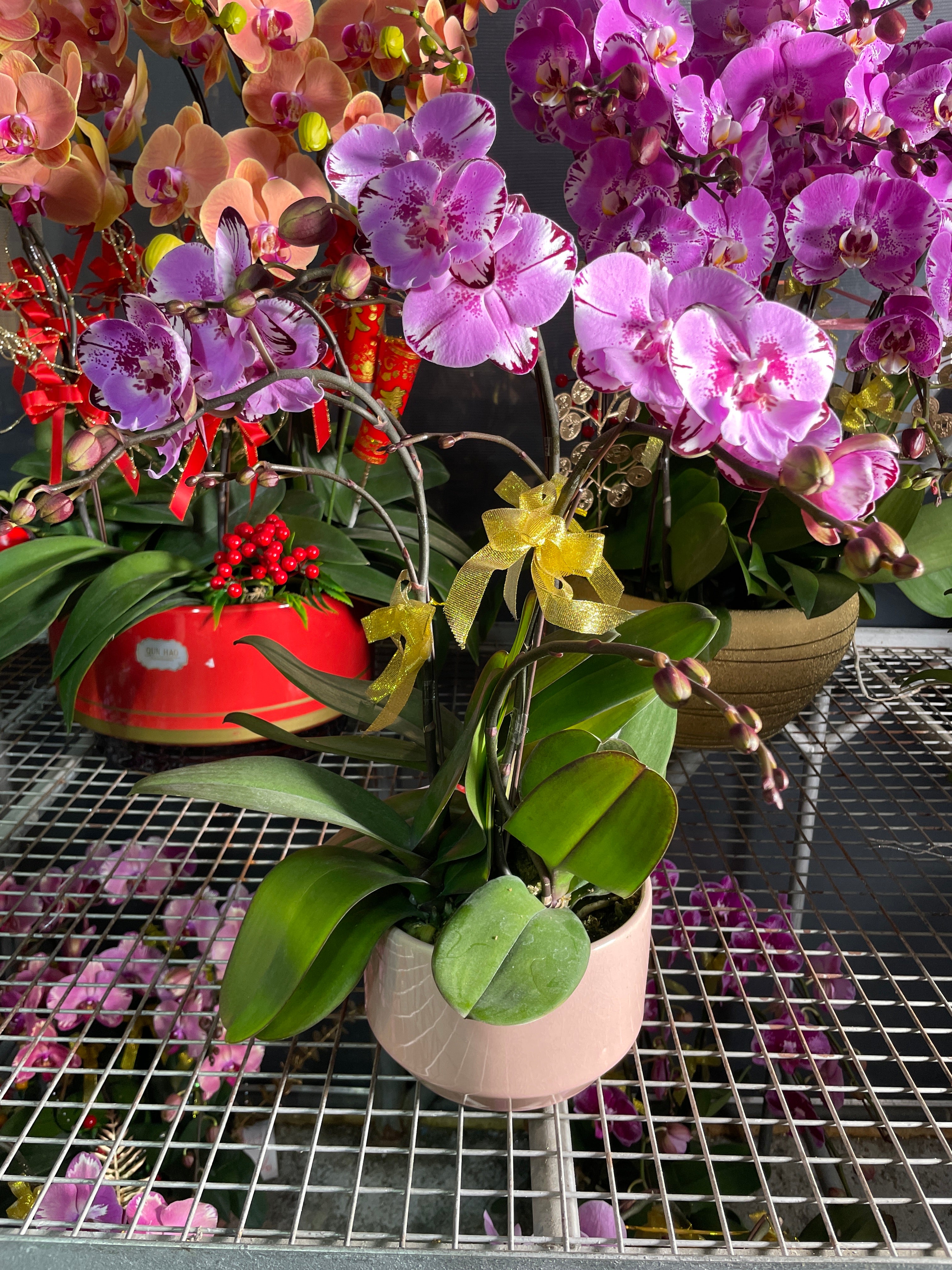 馬年賀年花【HF011】