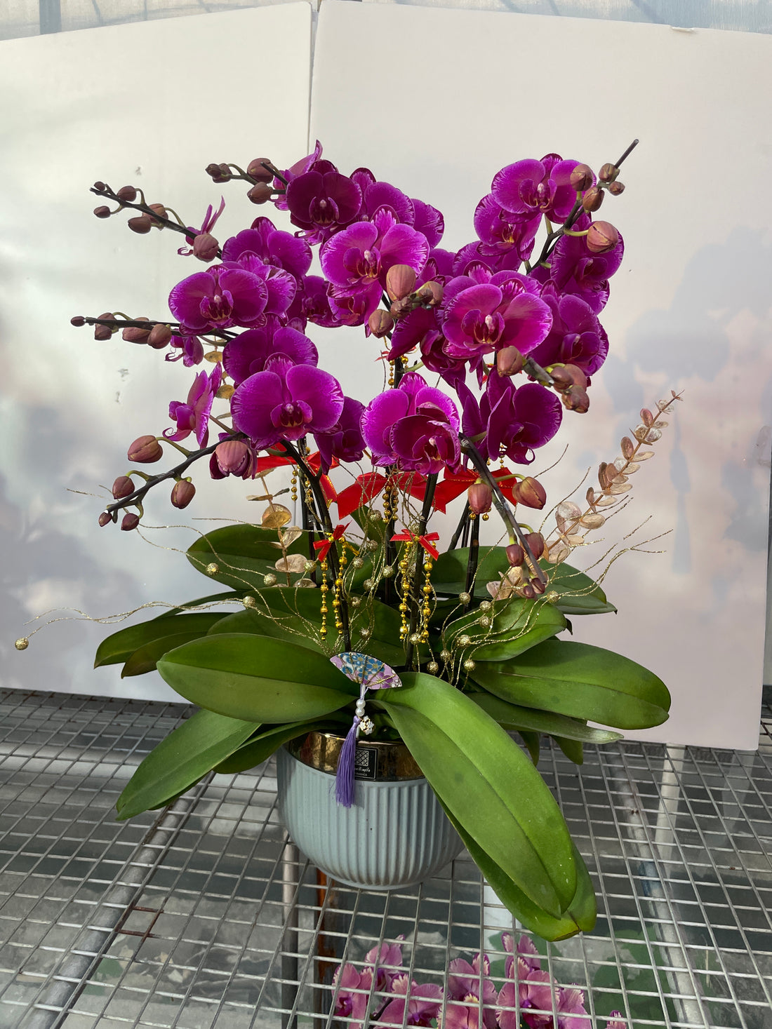 馬年賀年花【HH003】