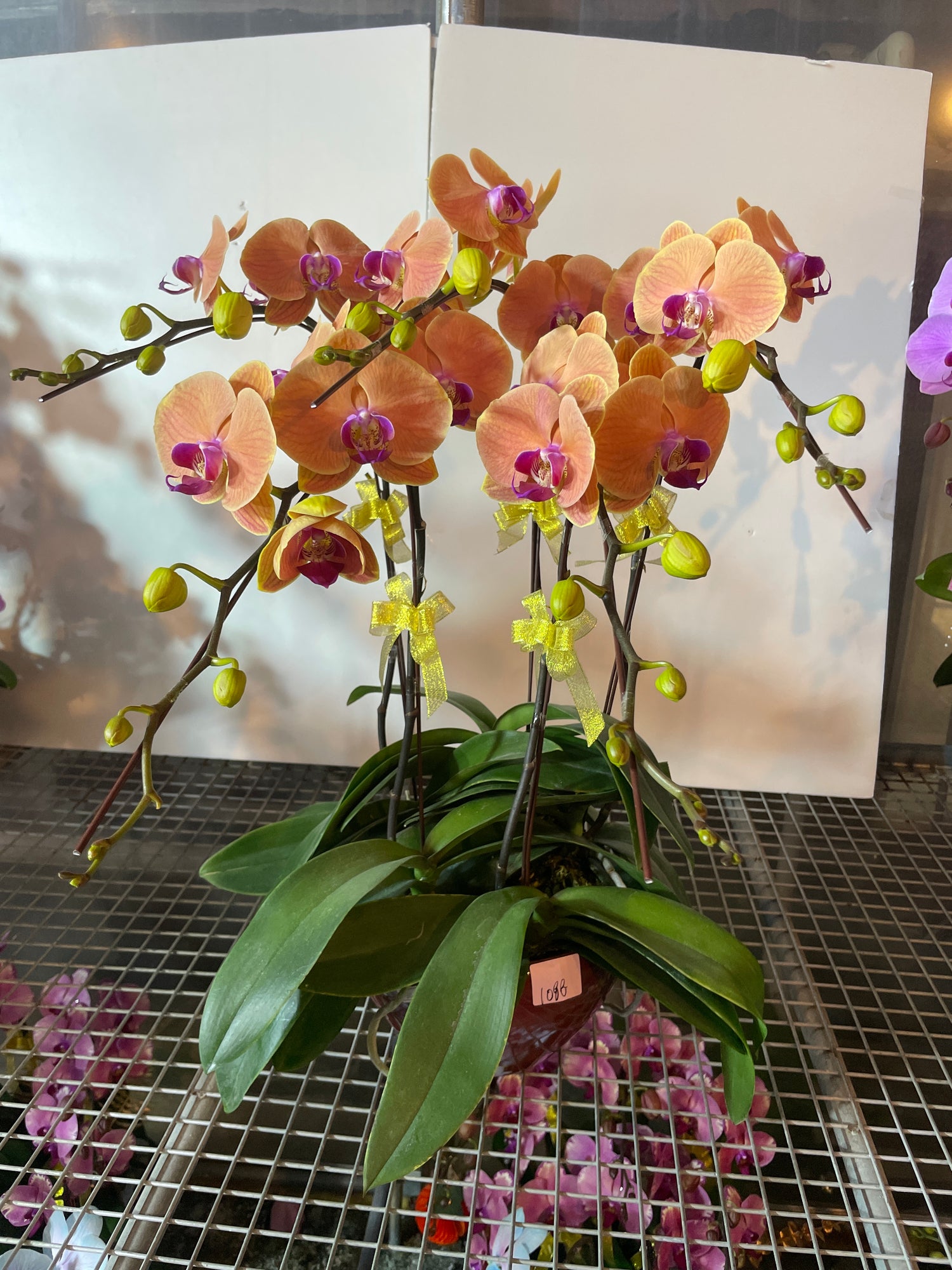 馬年賀年花【HH007】