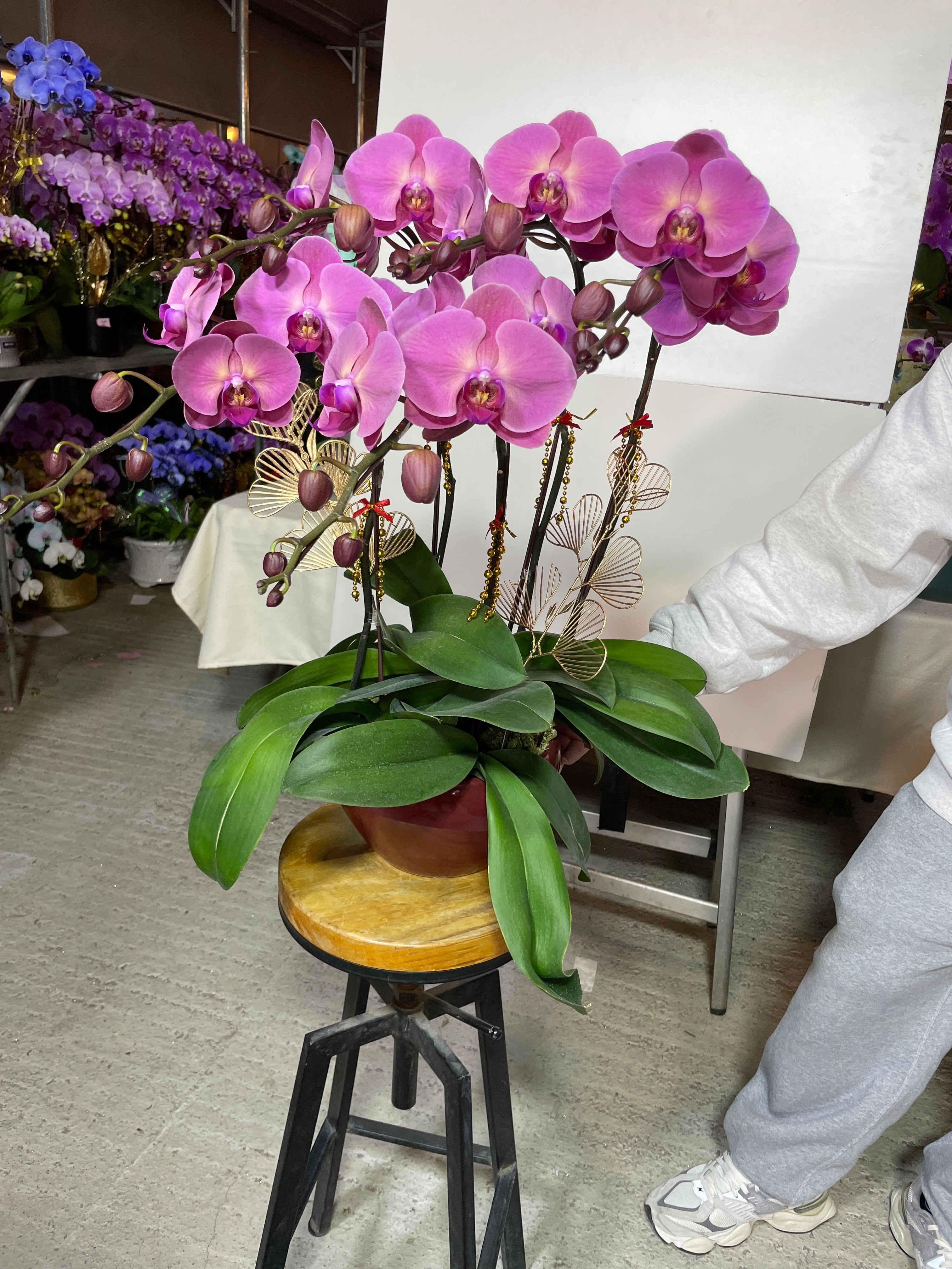 馬年賀年花【HH009】