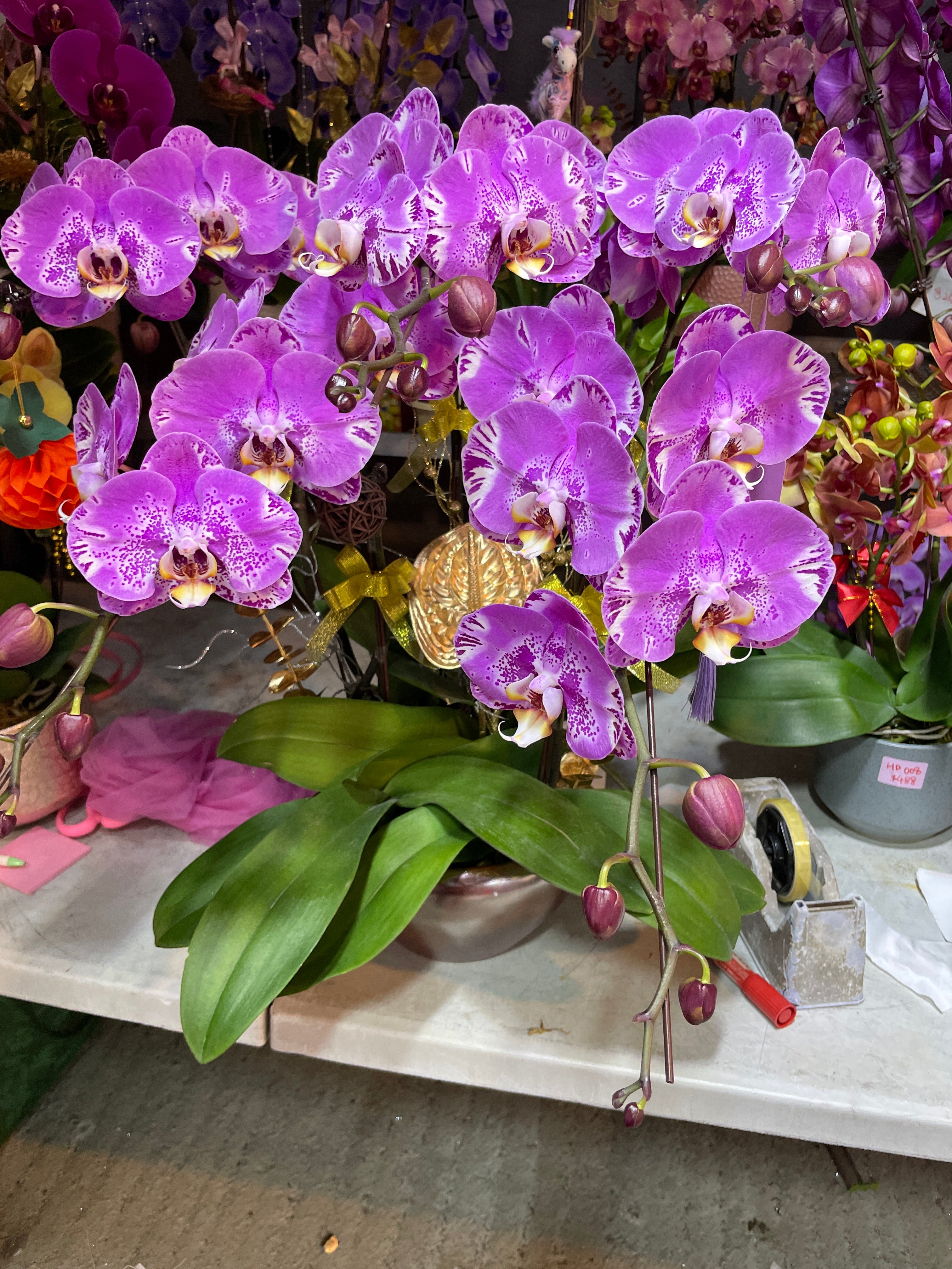 馬年賀年花【HH010】