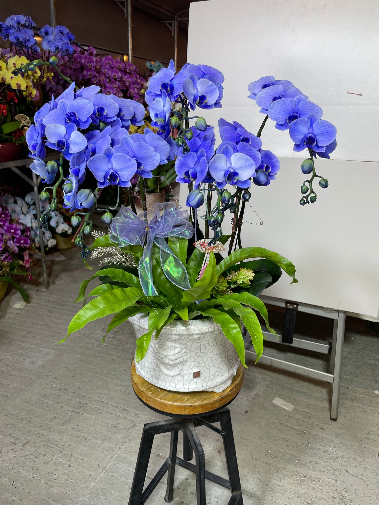 馬年賀年花【HJ005】