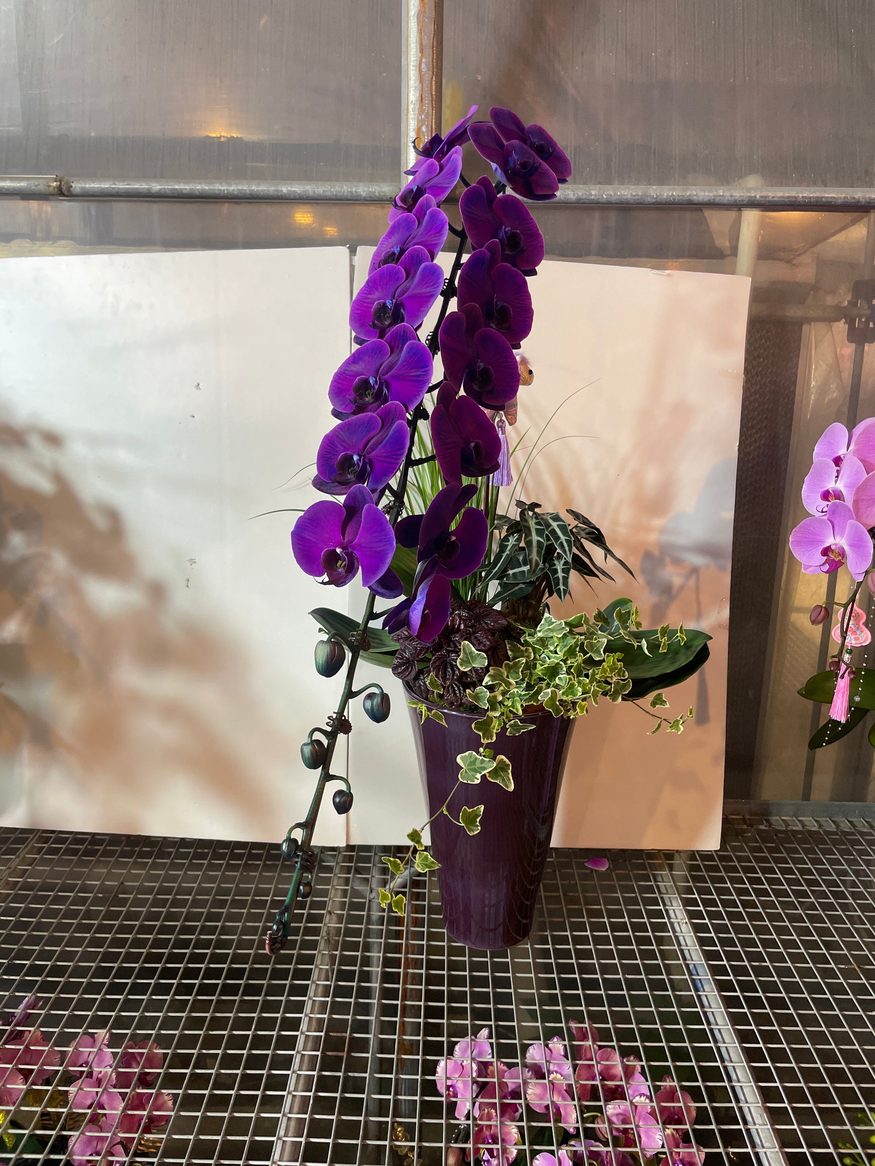 馬年賀年花【HM001】