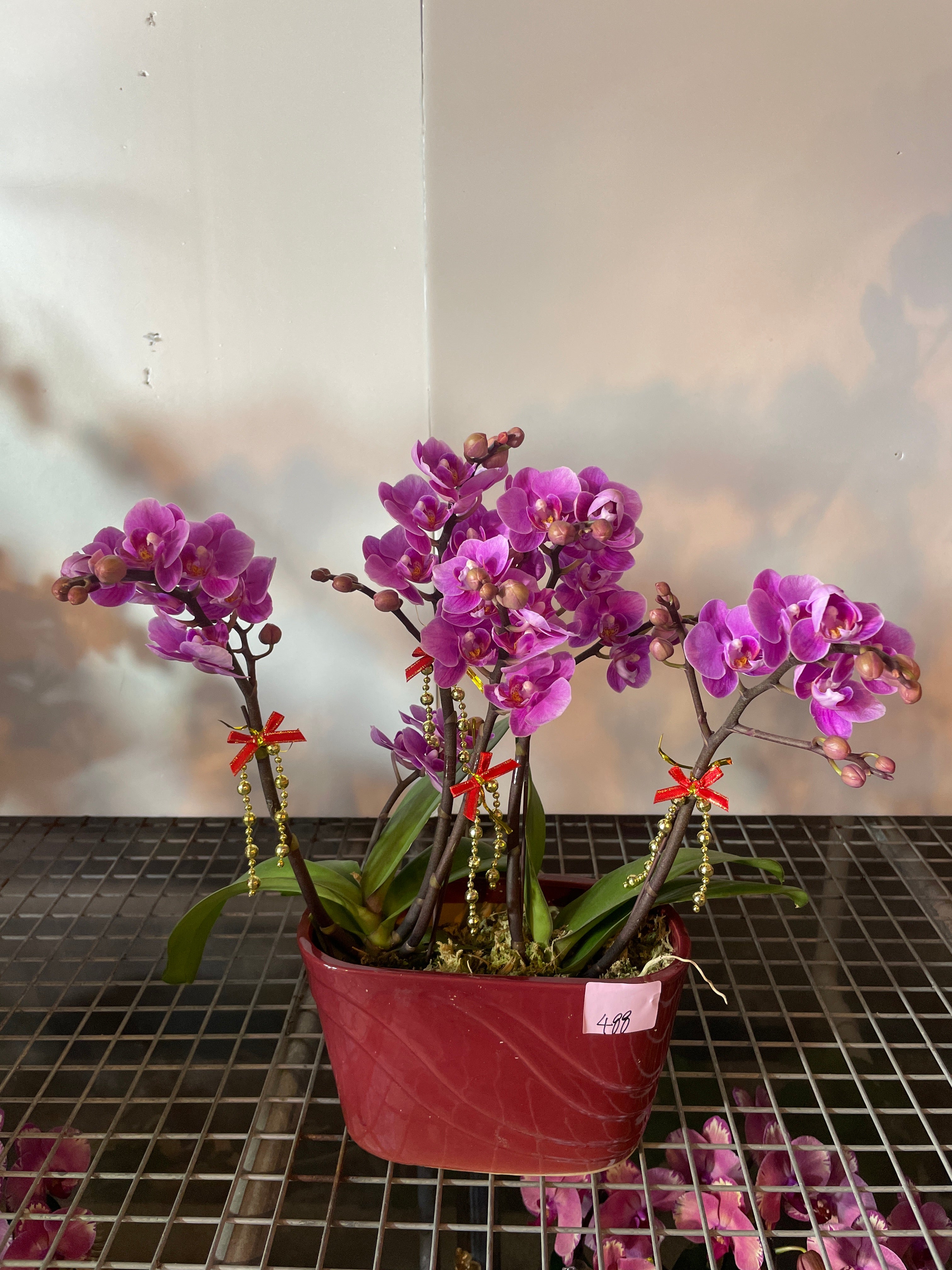 馬年賀年花【HN004】