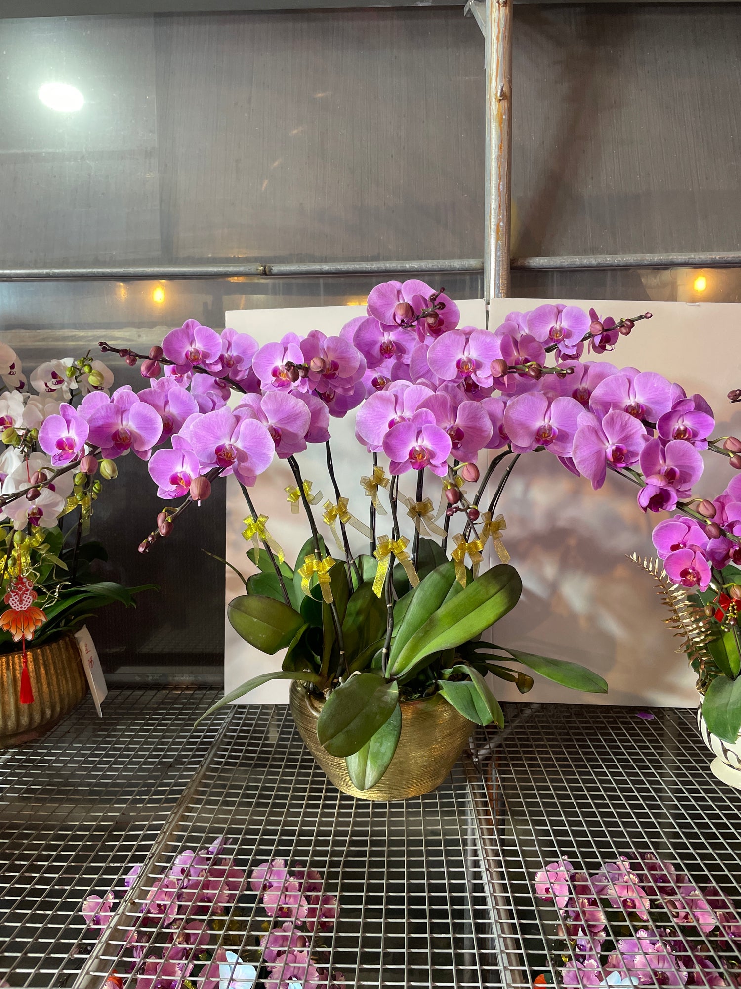 馬年賀年花【HN005】