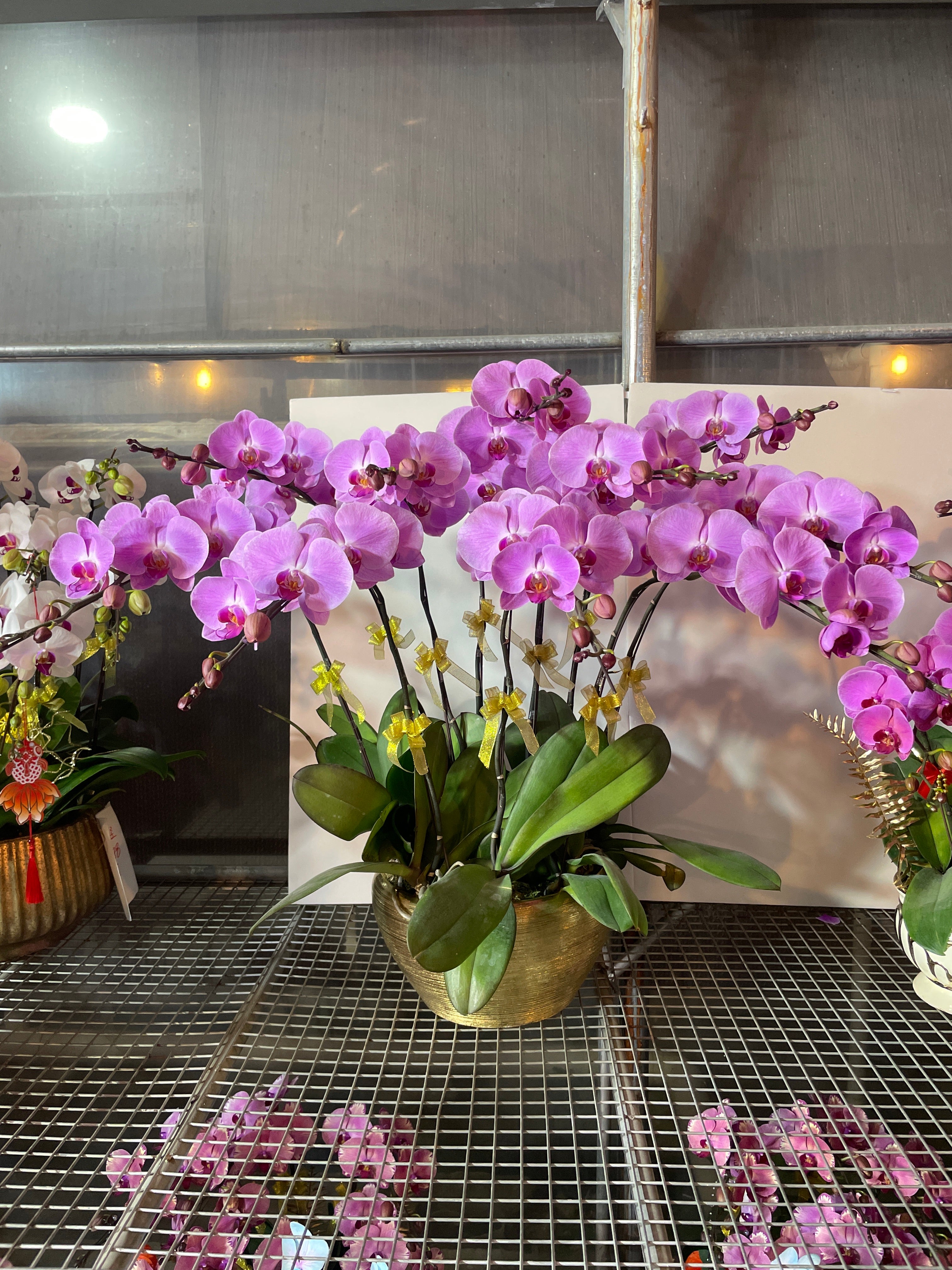 馬年賀年花【HN005】