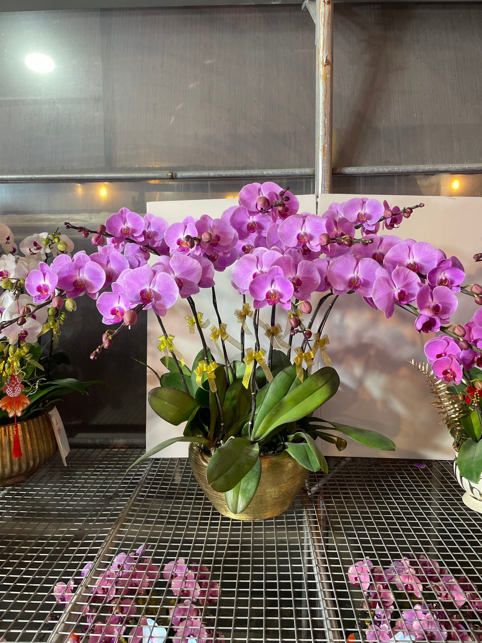 馬年賀年花【HN005】