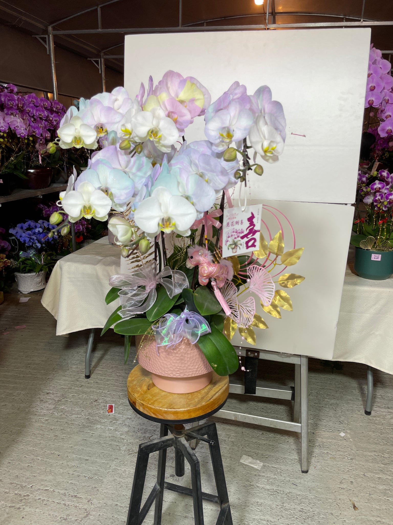 馬年賀年花【HP006】