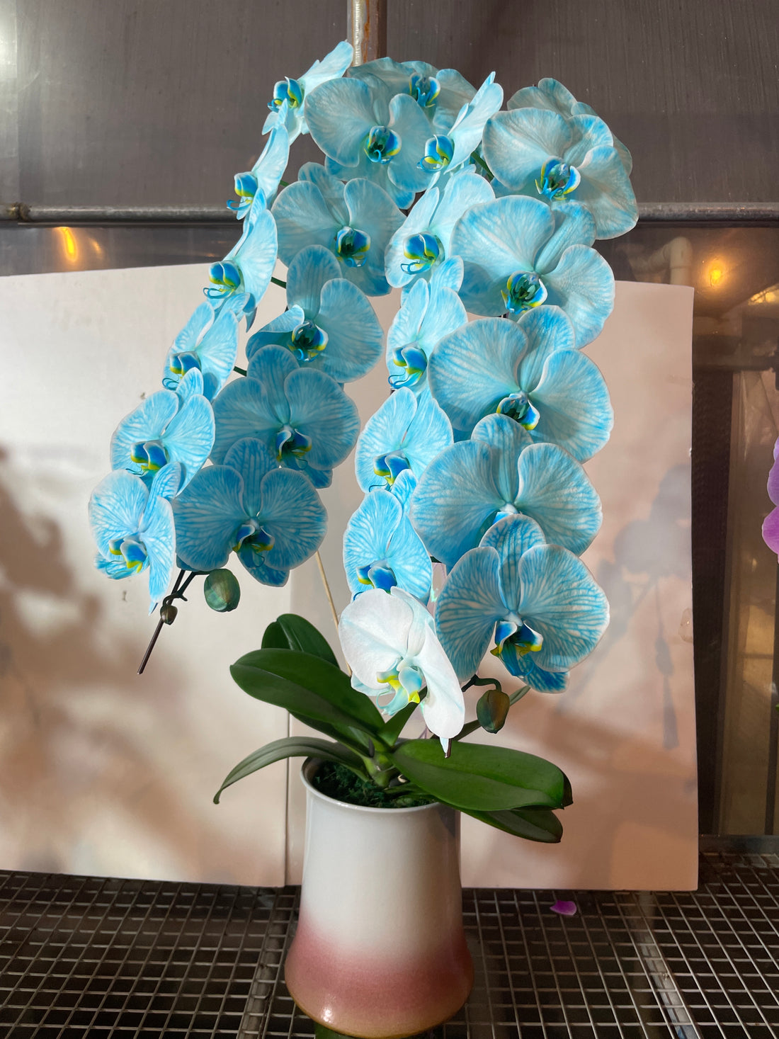 馬年賀年花【HR001】