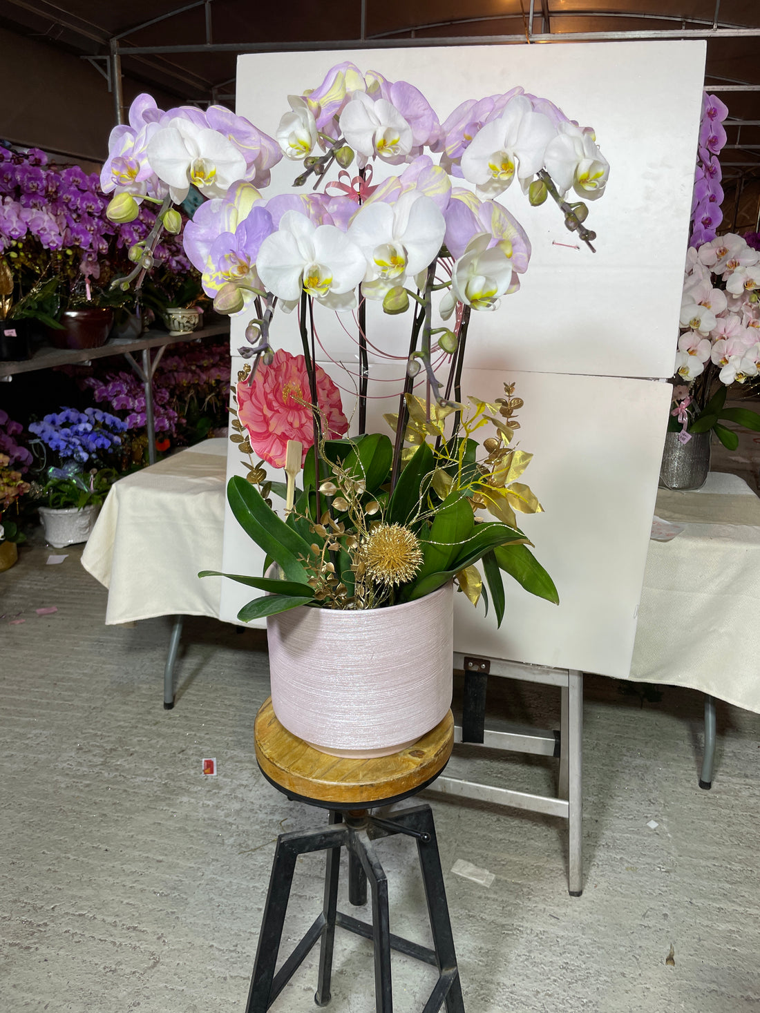 馬年賀年花【HR003】