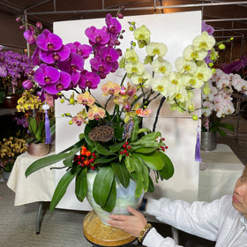 【直播2月10日】馬年賀年花花開好運