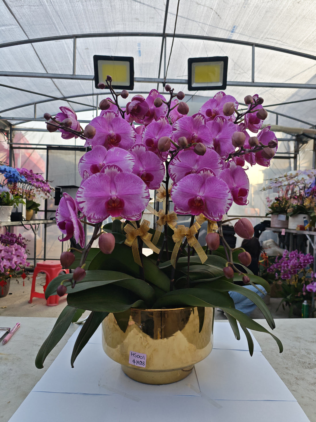 馬年賀年花【HS001】