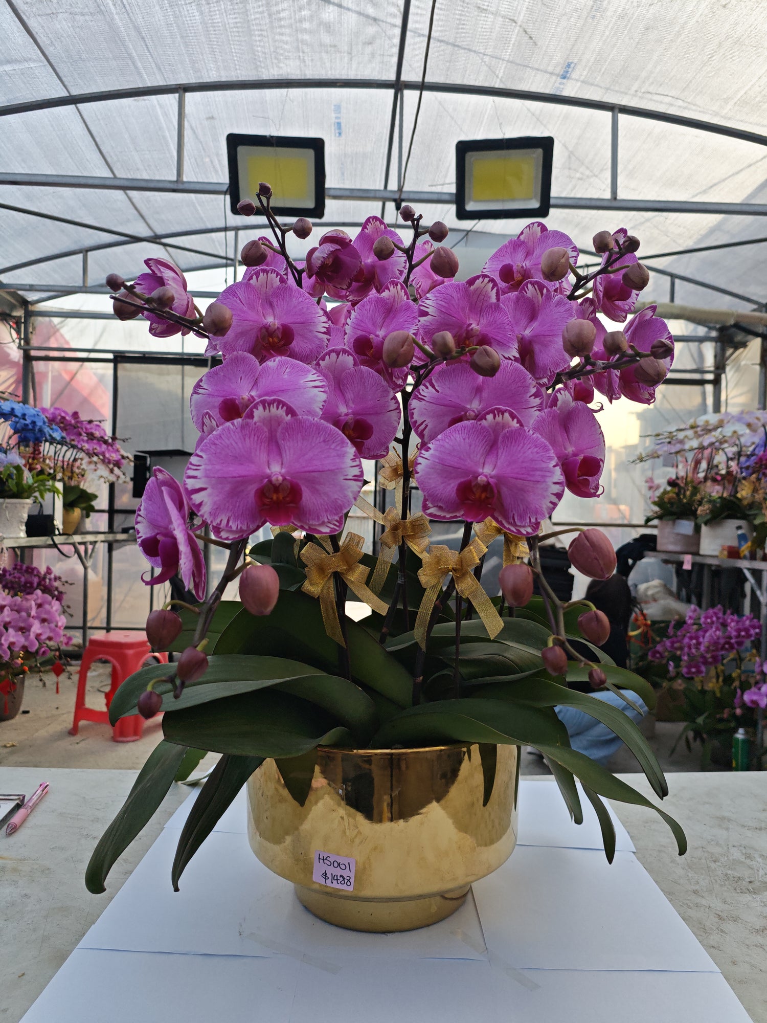 馬年賀年花【HS001】