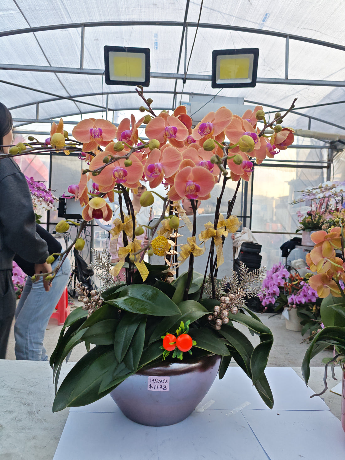 馬年賀年花【HS002】