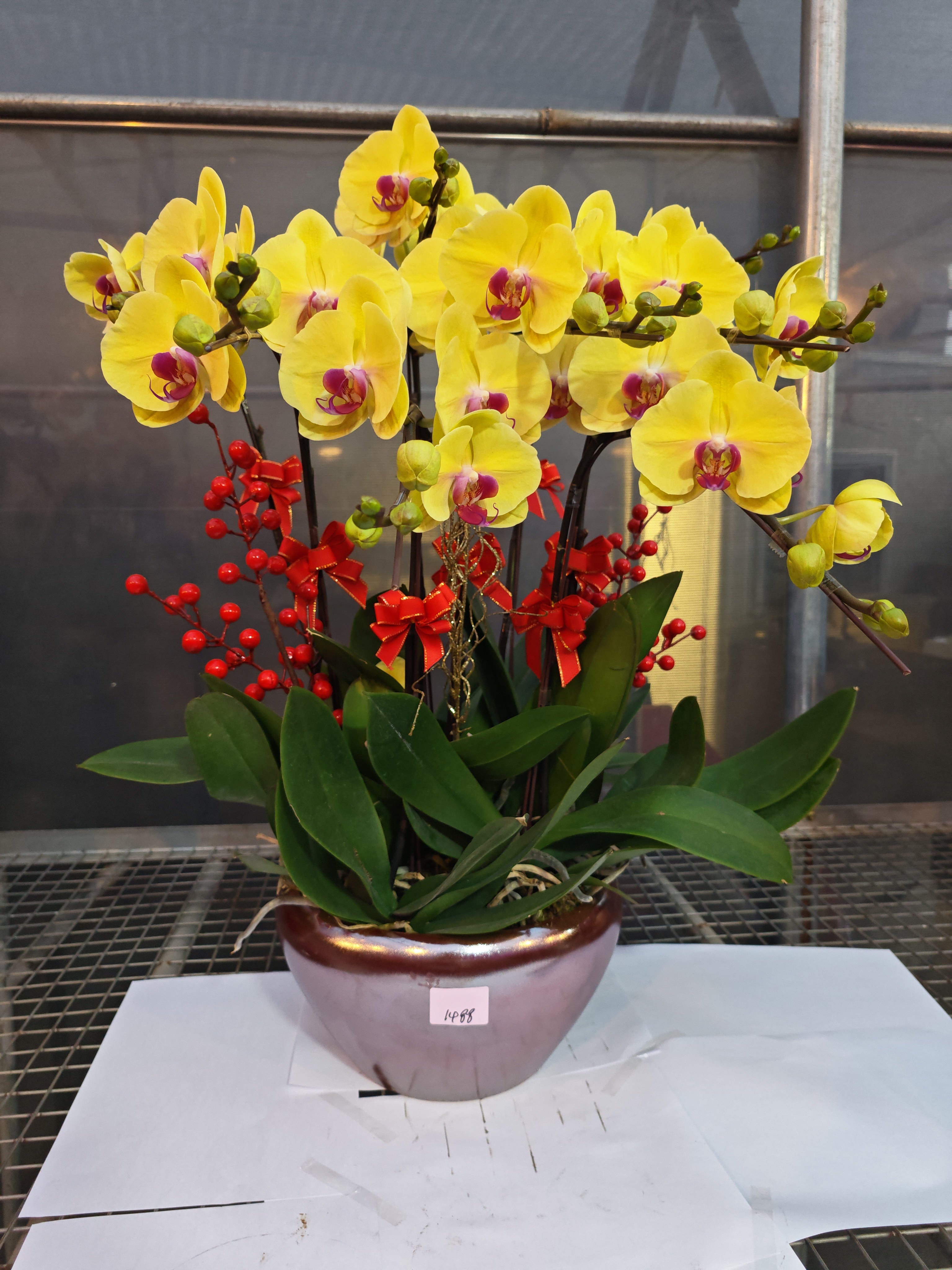 馬年賀年花【HS005】