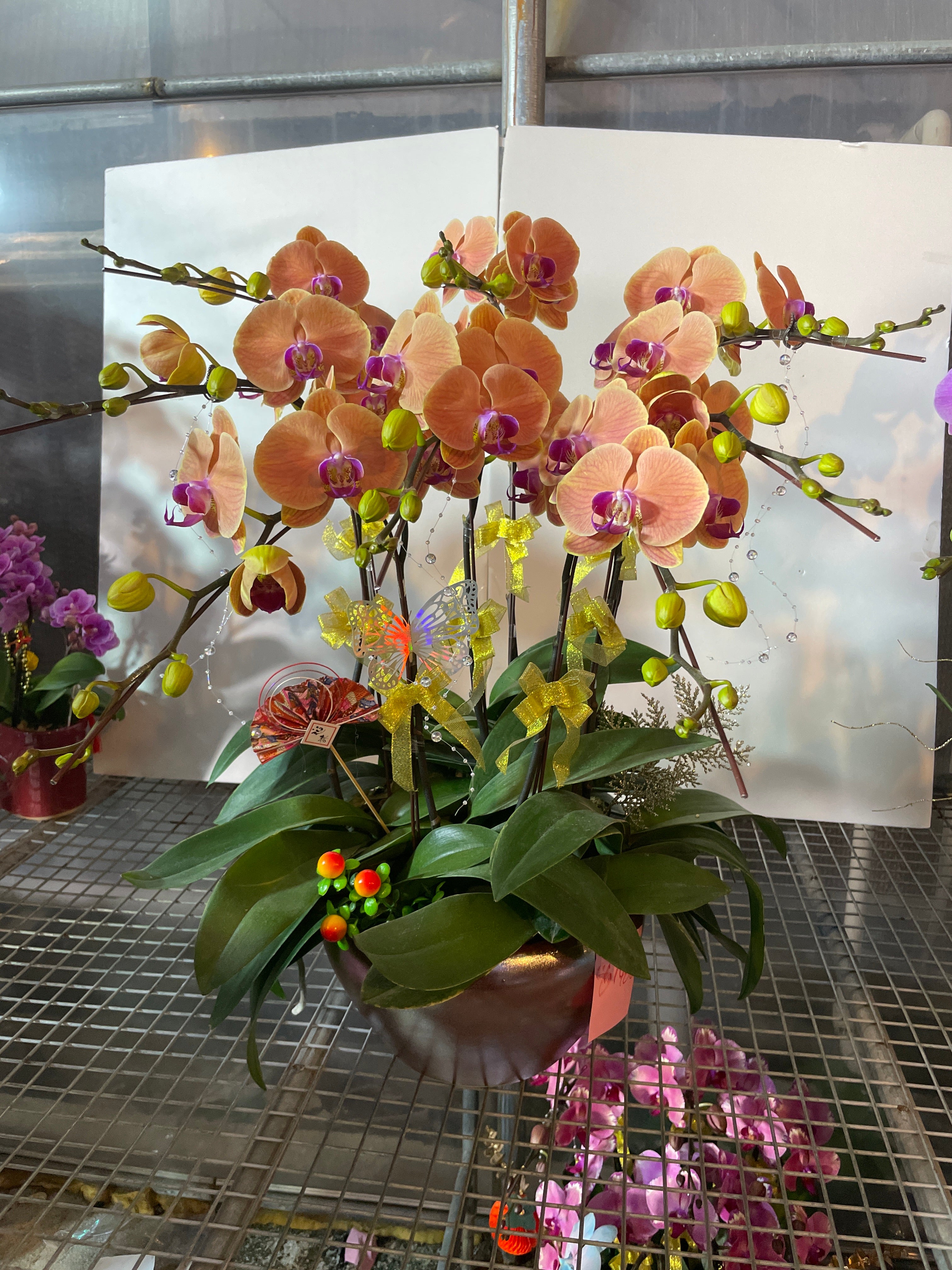 馬年賀年花【HS008】