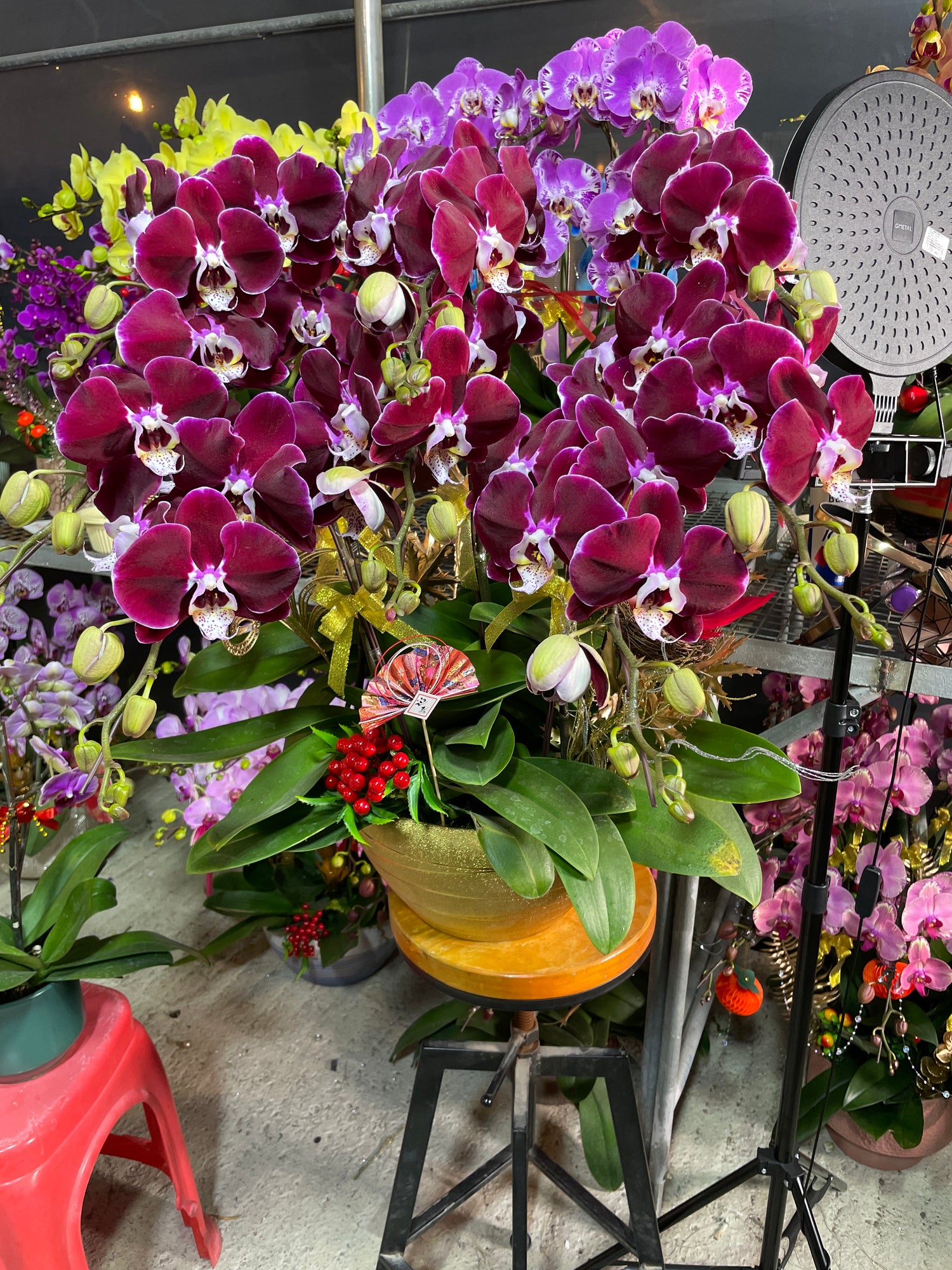 馬年賀年花【HS009】