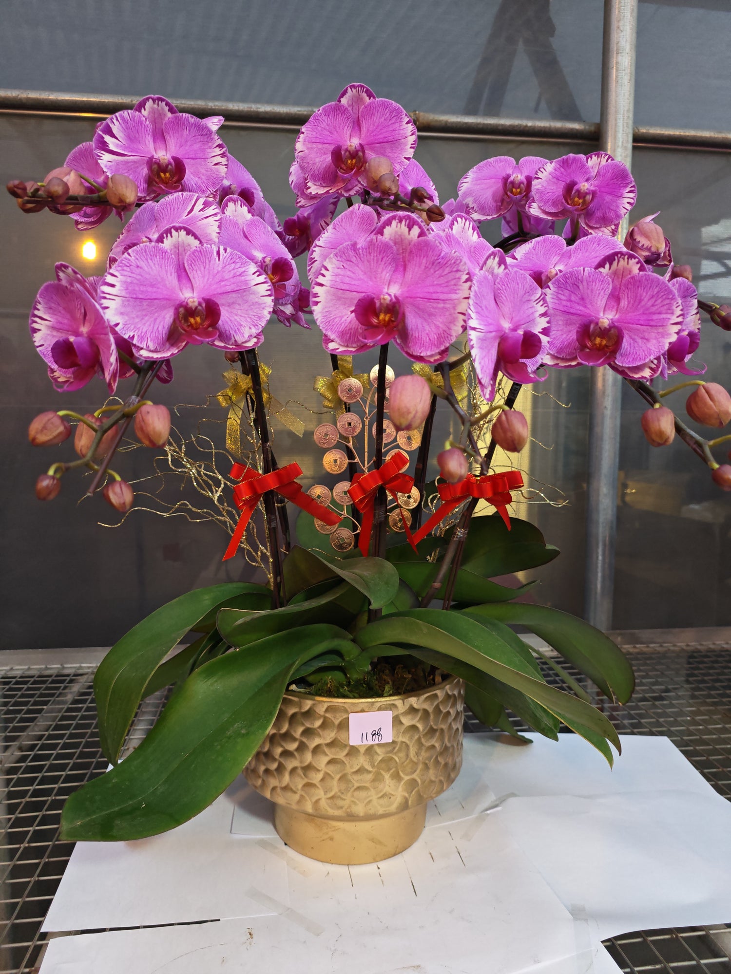 馬年賀年花【HU002】