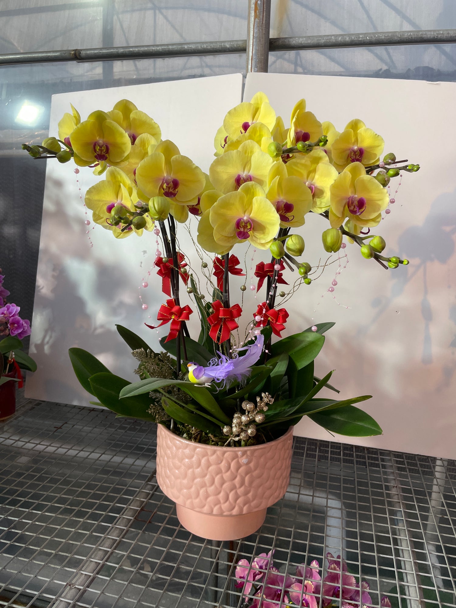 馬年賀年花【HU003】