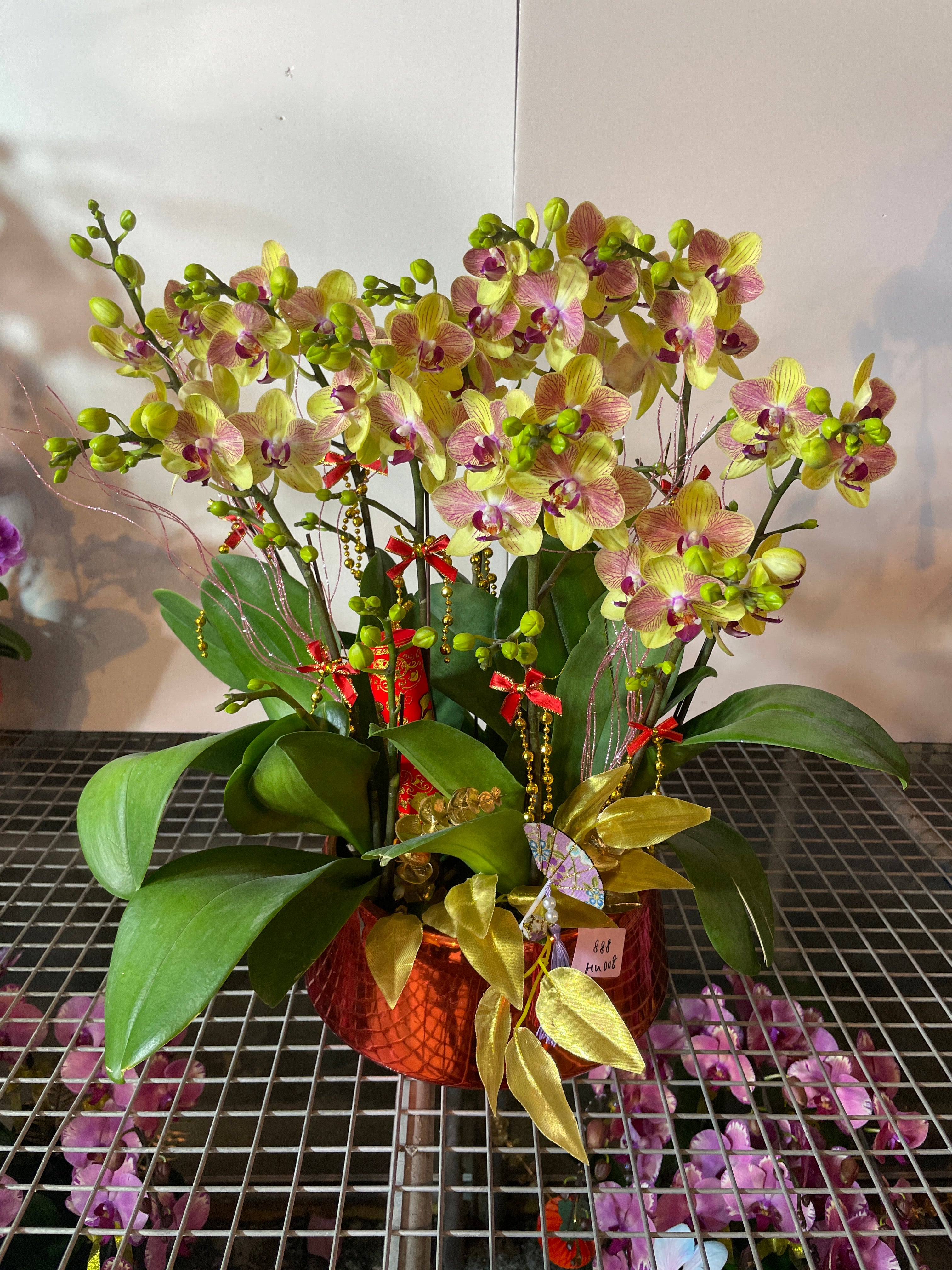 馬年賀年花【HU008】