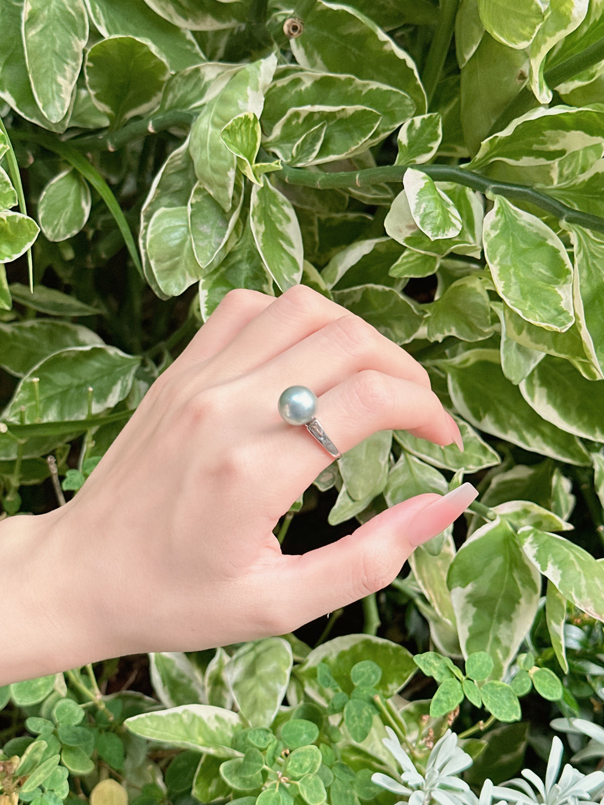 【現貨】925銀+大溪地珍珠戒指11.5mm【ST314】