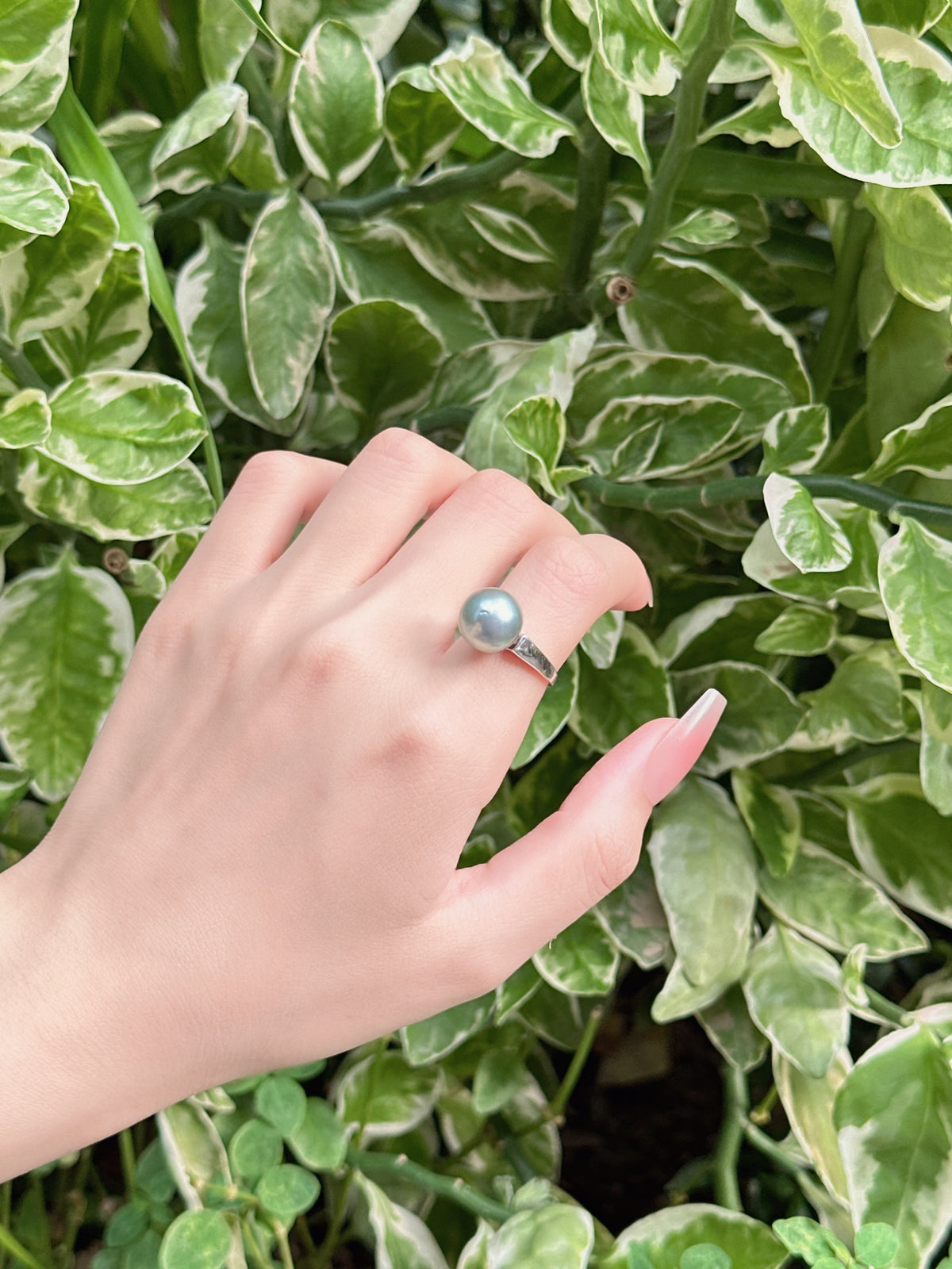 【現貨】925銀+大溪地珍珠戒指11.5mm【ST314】